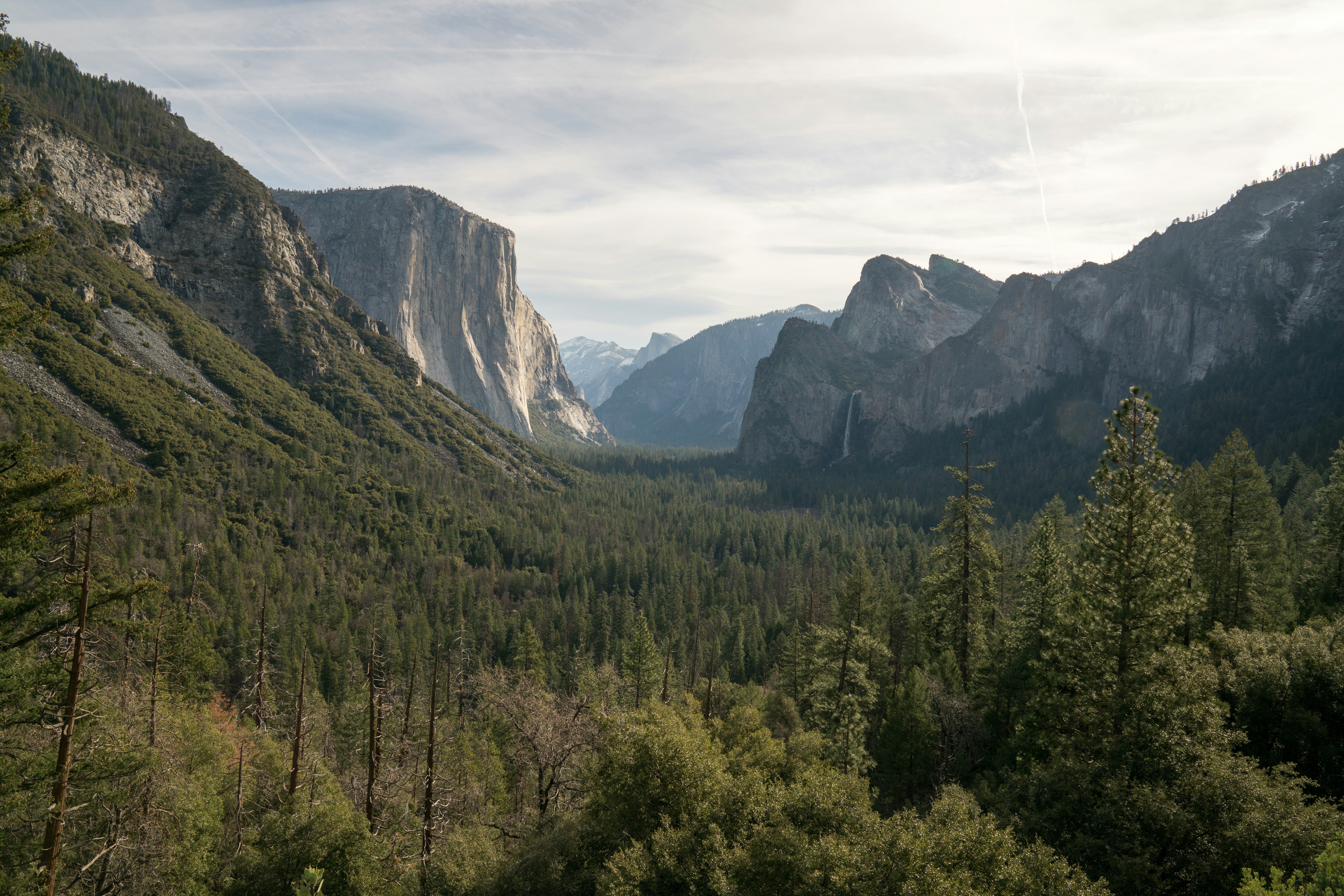 green trees near mountain under cloudy sky during daytime