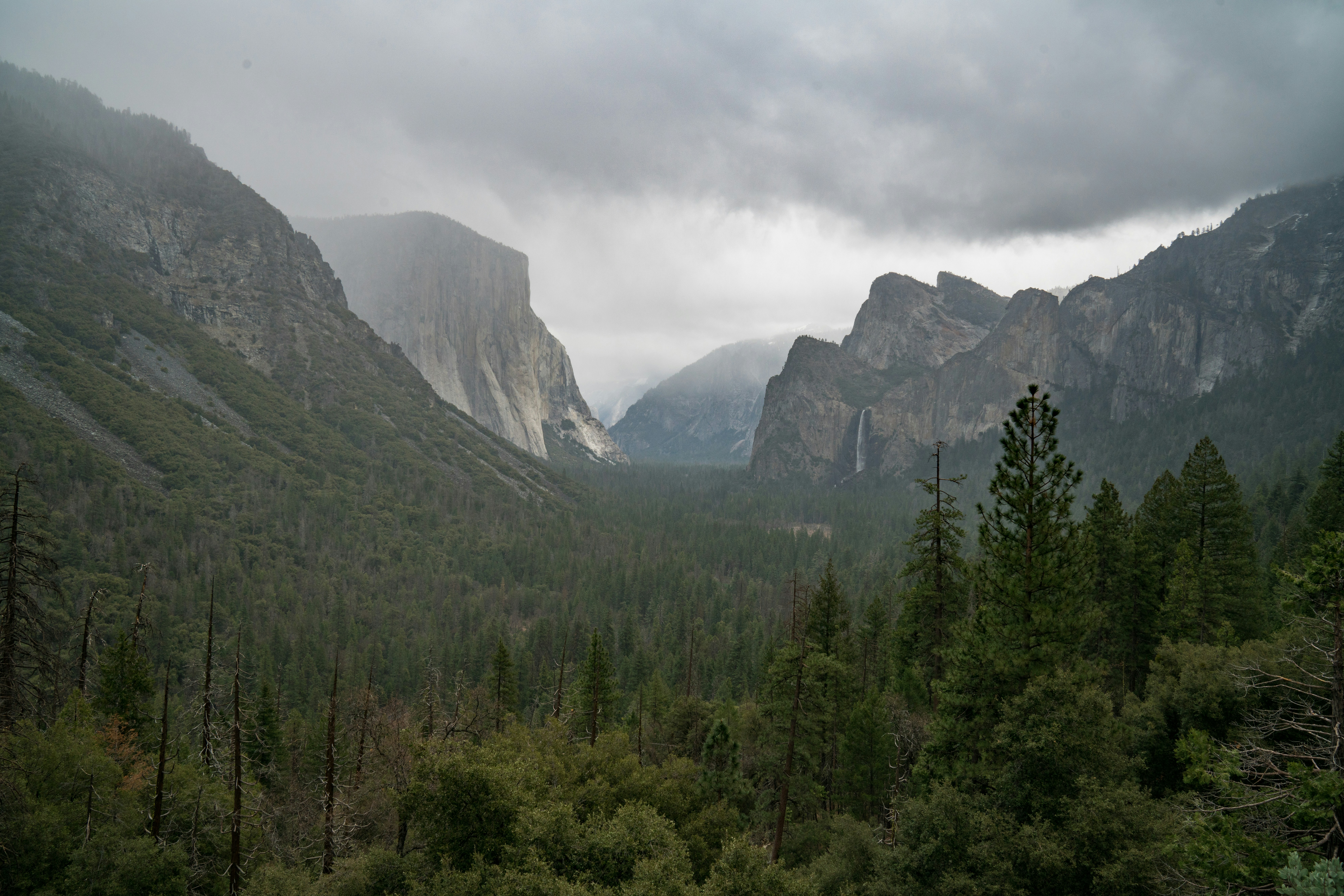 green trees near mountain under white sky during daytime