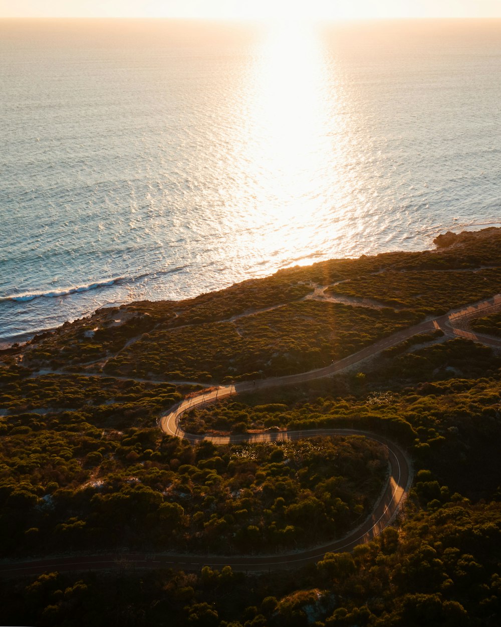 aerial view of road near body of water during daytime