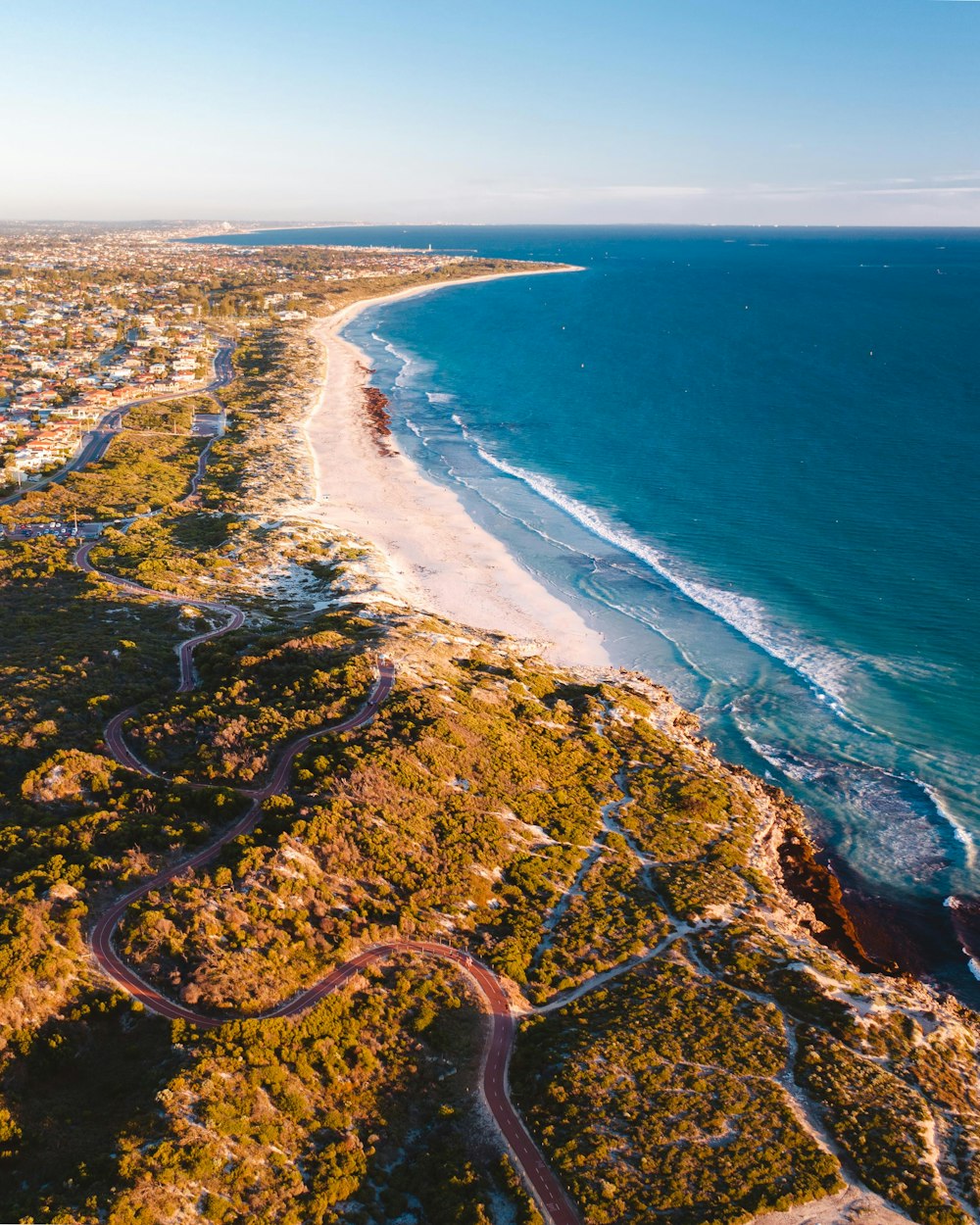 aerial view of green and brown island