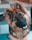 Berger Allemand senior