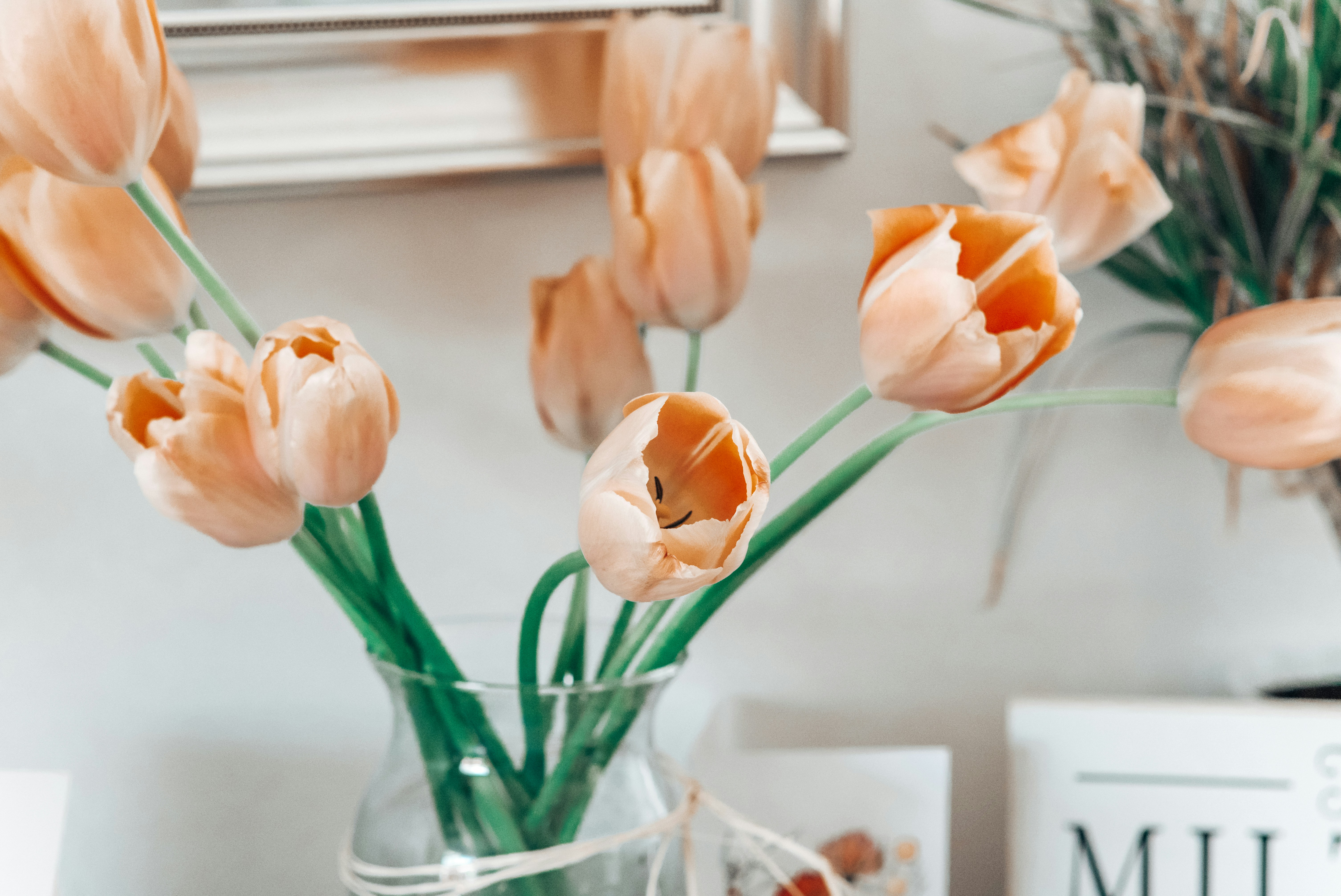 Photo by kolbymilton