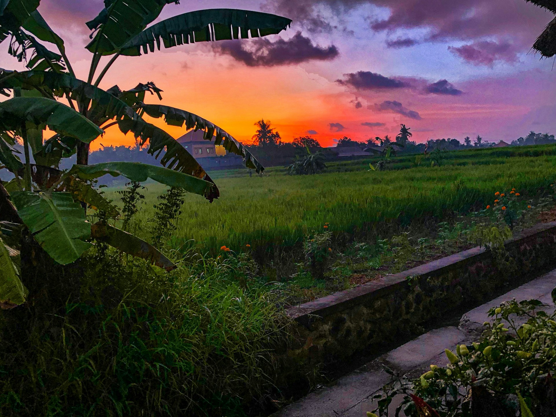 A breathtaking sunset over Bali's lush rice terraces with vibrant orange and pink skies.