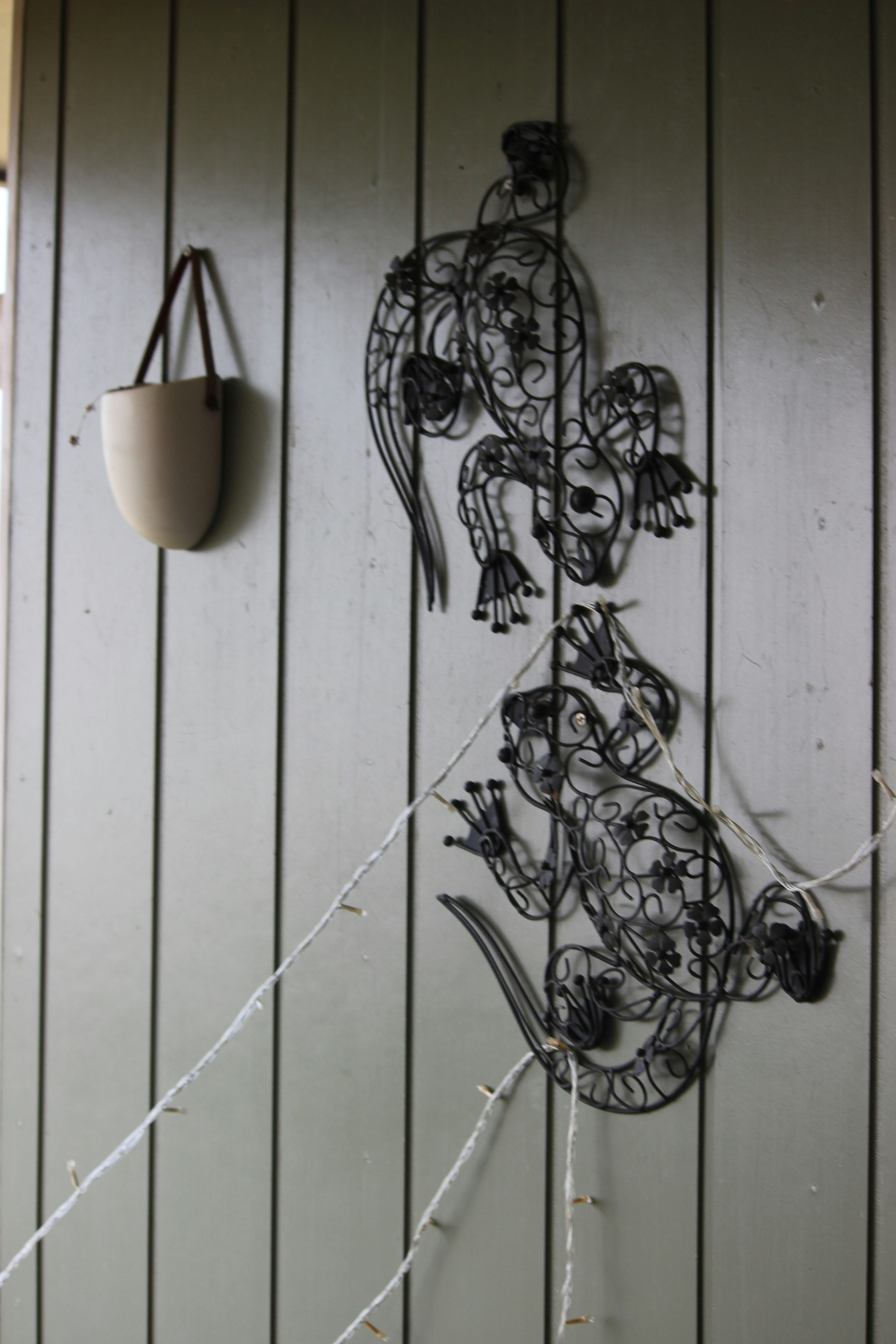 Photo by ravenscroft_photography