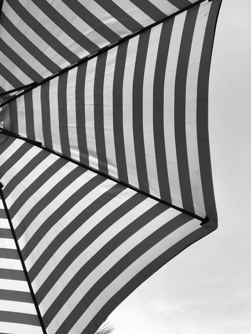 white and black striped umbrella