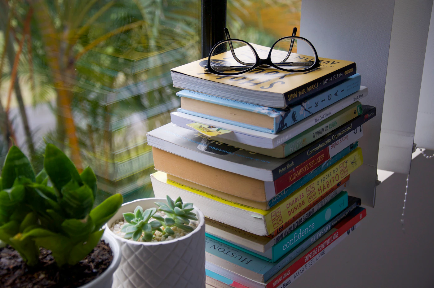 Books resting on a windowsill