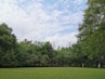 A spacious grassy plot bordered by mature trees under a clear blue sky.