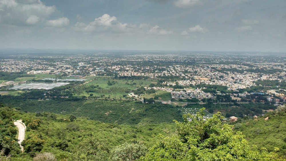 aerial view of green trees and city during daytime