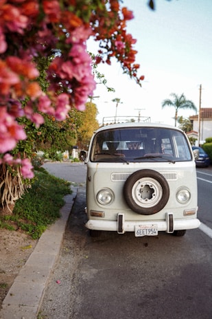 A vintage white van is parked on the side of a road near a sidewalk lined with vibrant pink flowers. The van has a spare tire mounted on the front grille and is surrounded by greenery and residential buildings in the background. A Californian license plate is visible at the front.