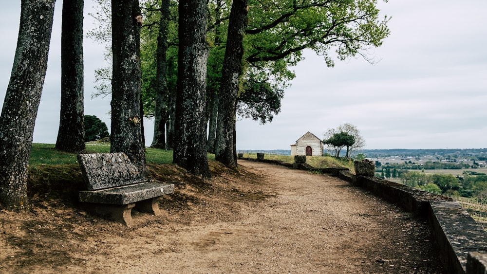 brown wooden bench near body of water during daytime