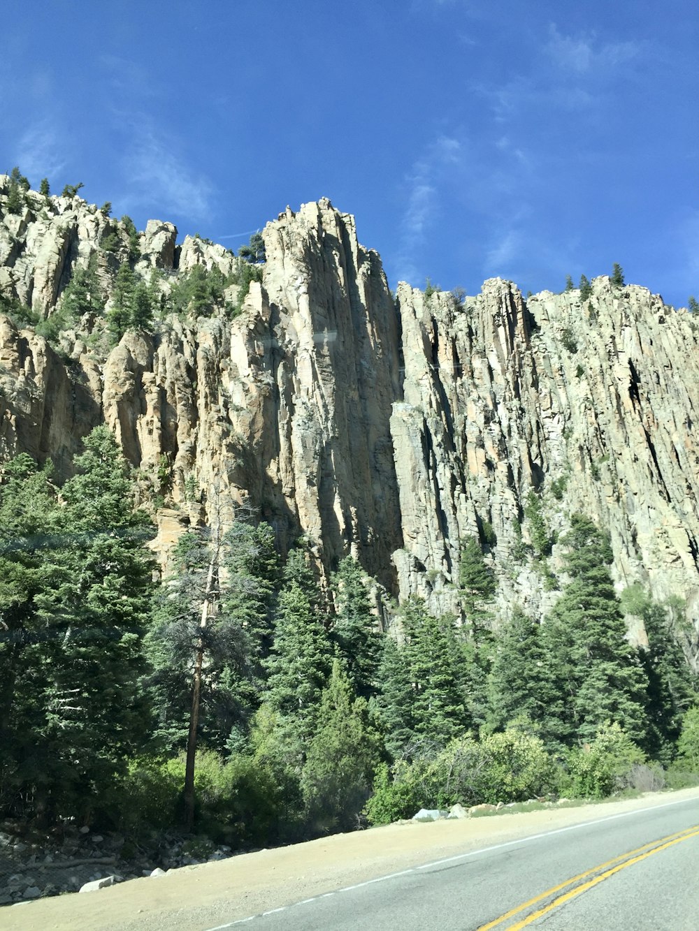 green trees near brown rocky mountain under blue sky during daytime