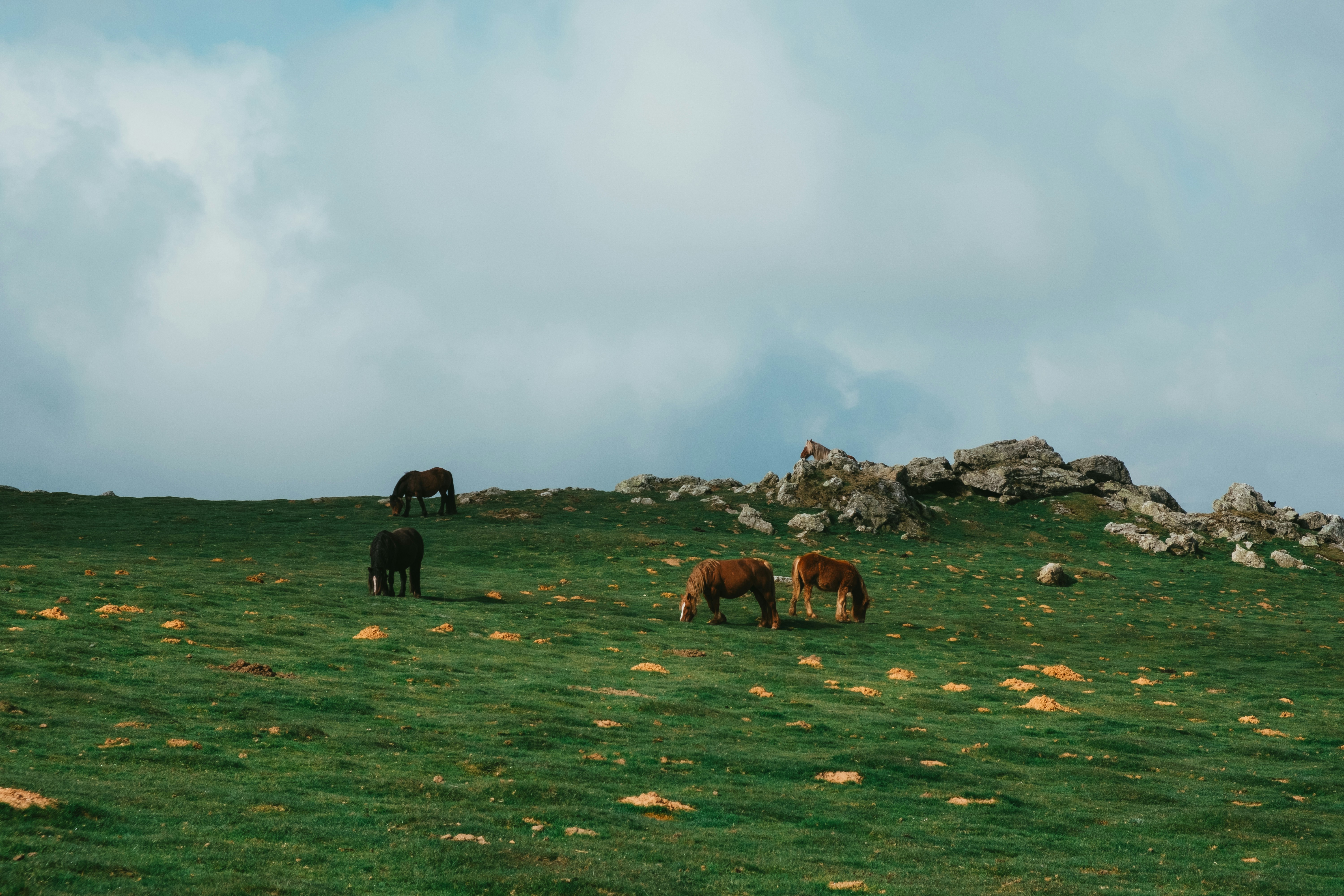 Photo by caleb_maxwell