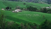 A lush green landscape with rolling hills and scattered trees. In the middle, a farmhouse with a red roof is surrounded by fields. A large flock of sheep is grazing on the grass, dotted across the field. In the background, more fields and trees create a picturesque rural scene, with pastel-toned hills completing the horizon.