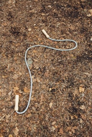 white and blue rope on brown soil