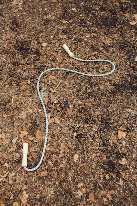 white and blue rope on brown soil