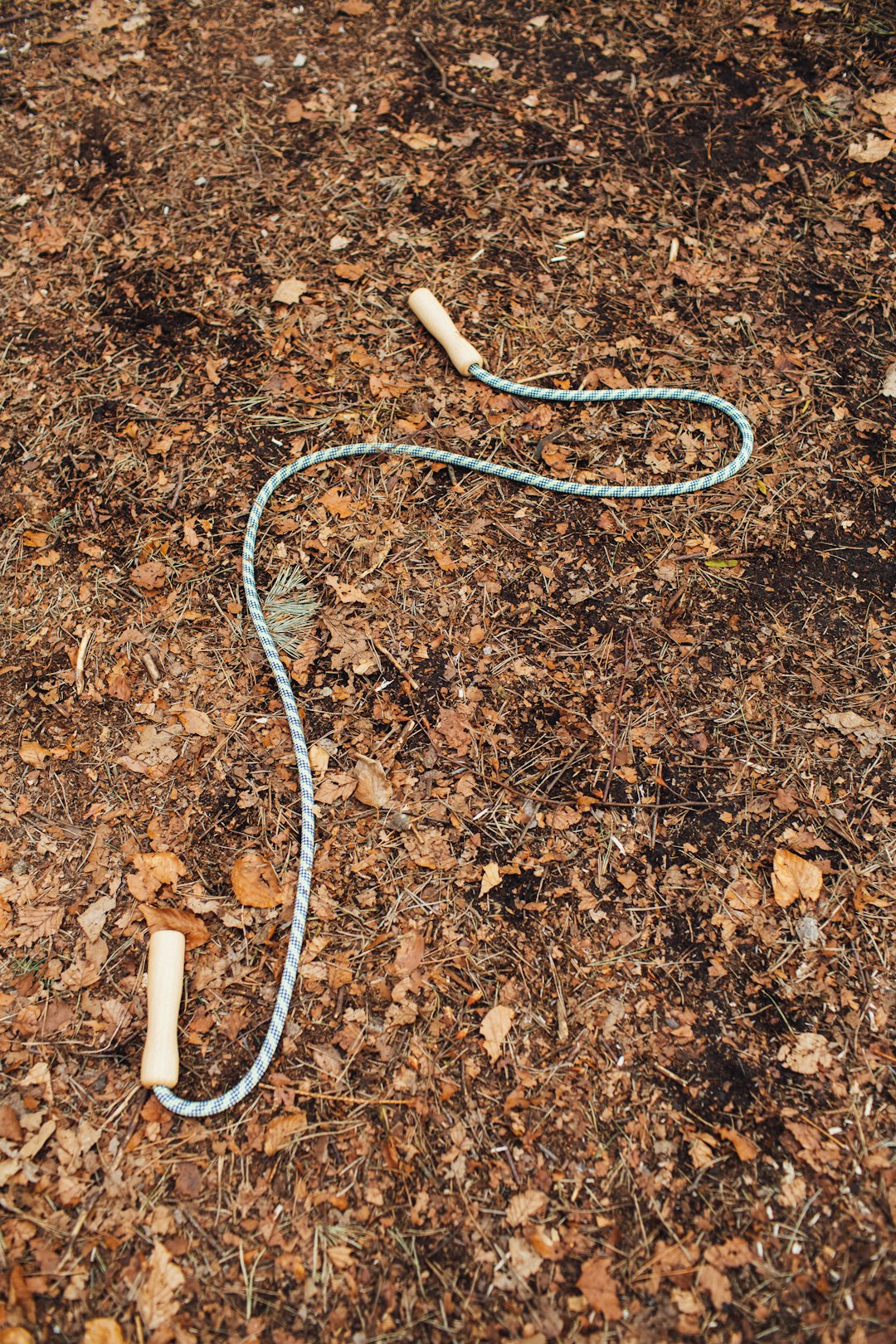 white and blue rope on brown soil