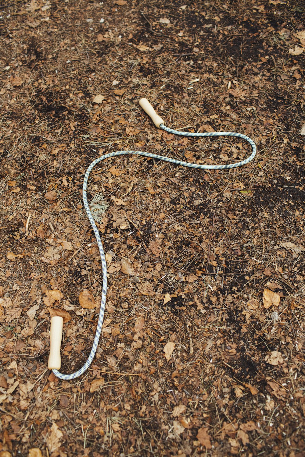 cuerda blanca y azul sobre suelo marrón