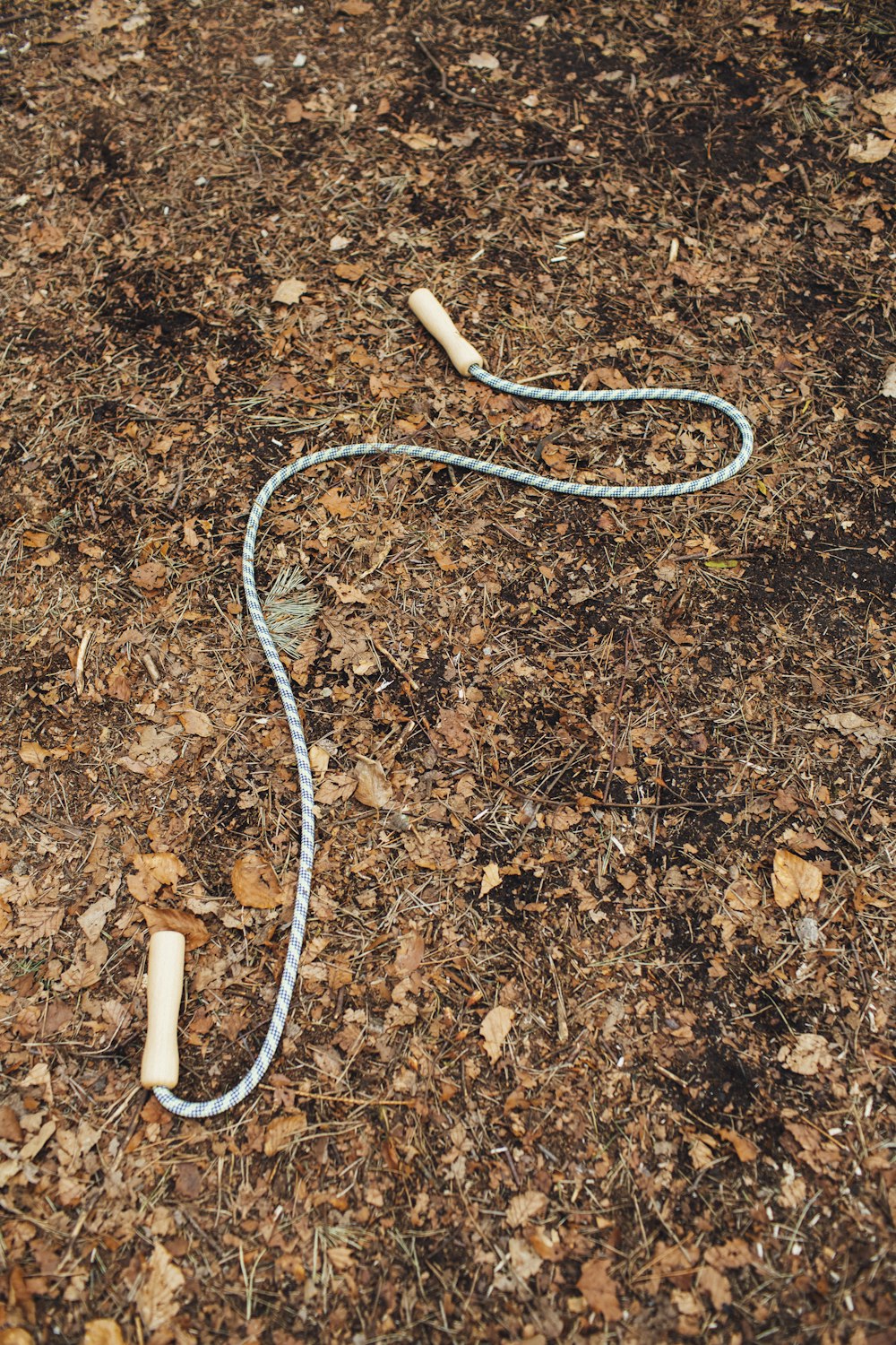 white and blue rope on brown soil