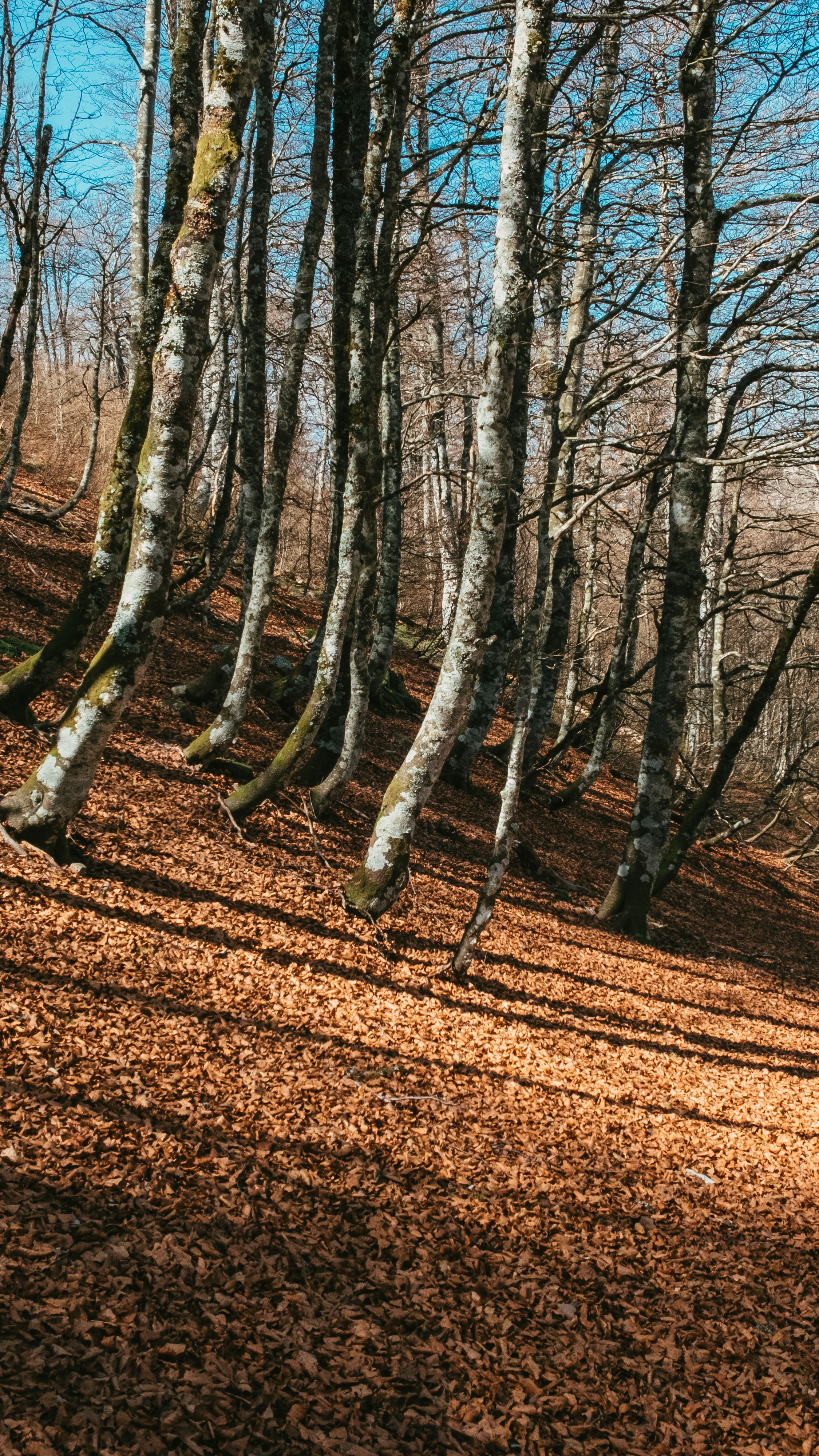 Photo by caleb_maxwell