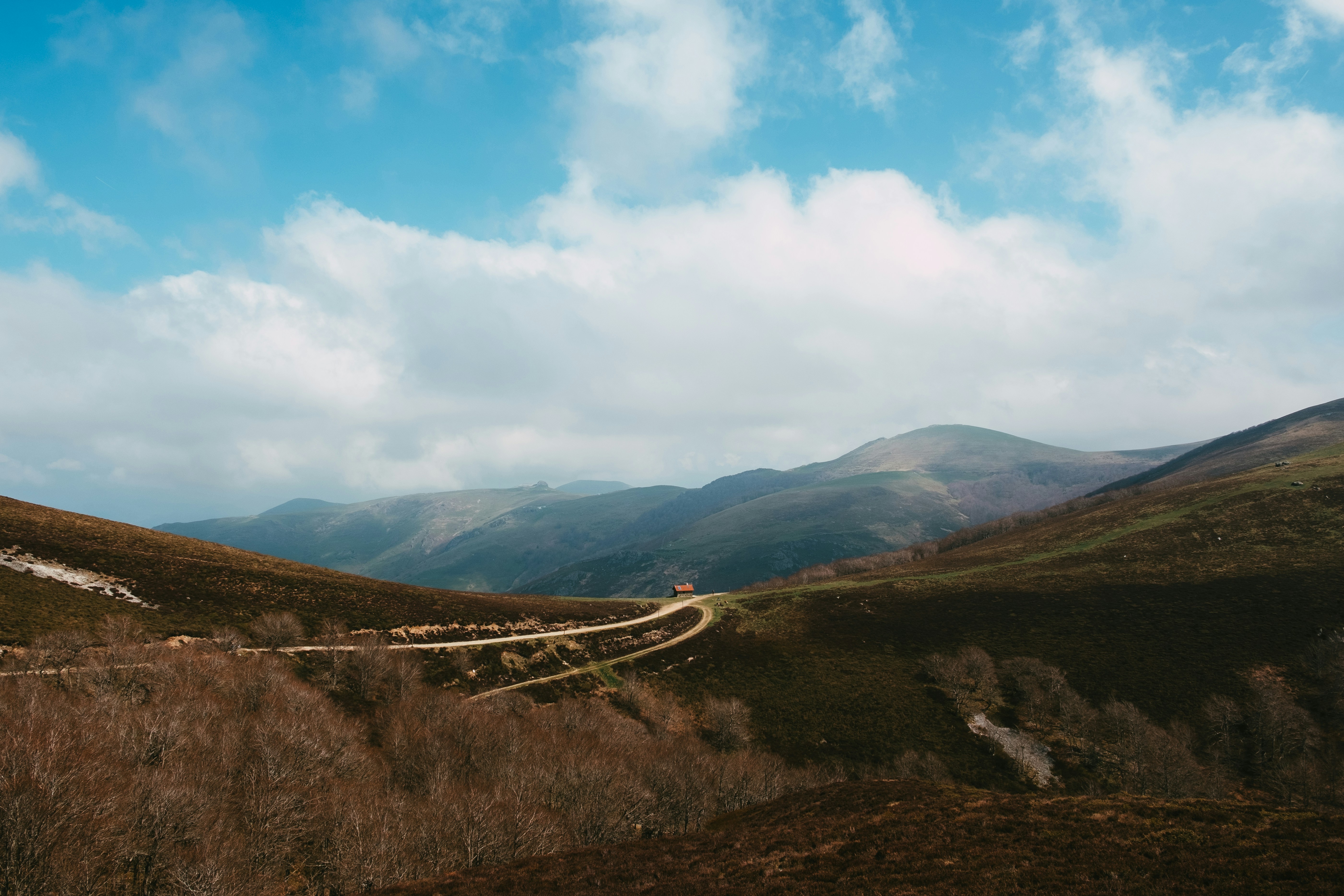 Photo by caleb_maxwell