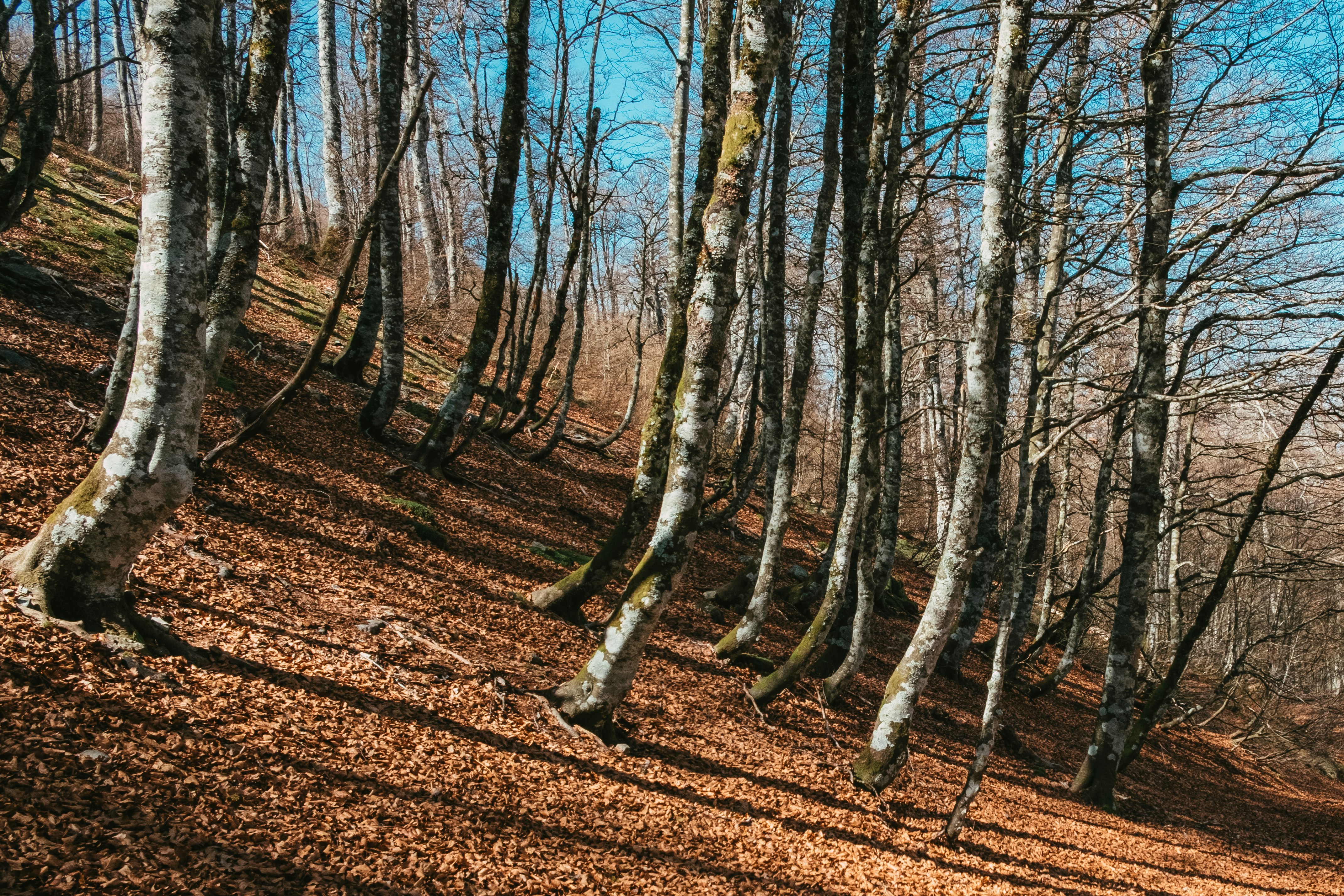 Photo by caleb_maxwell