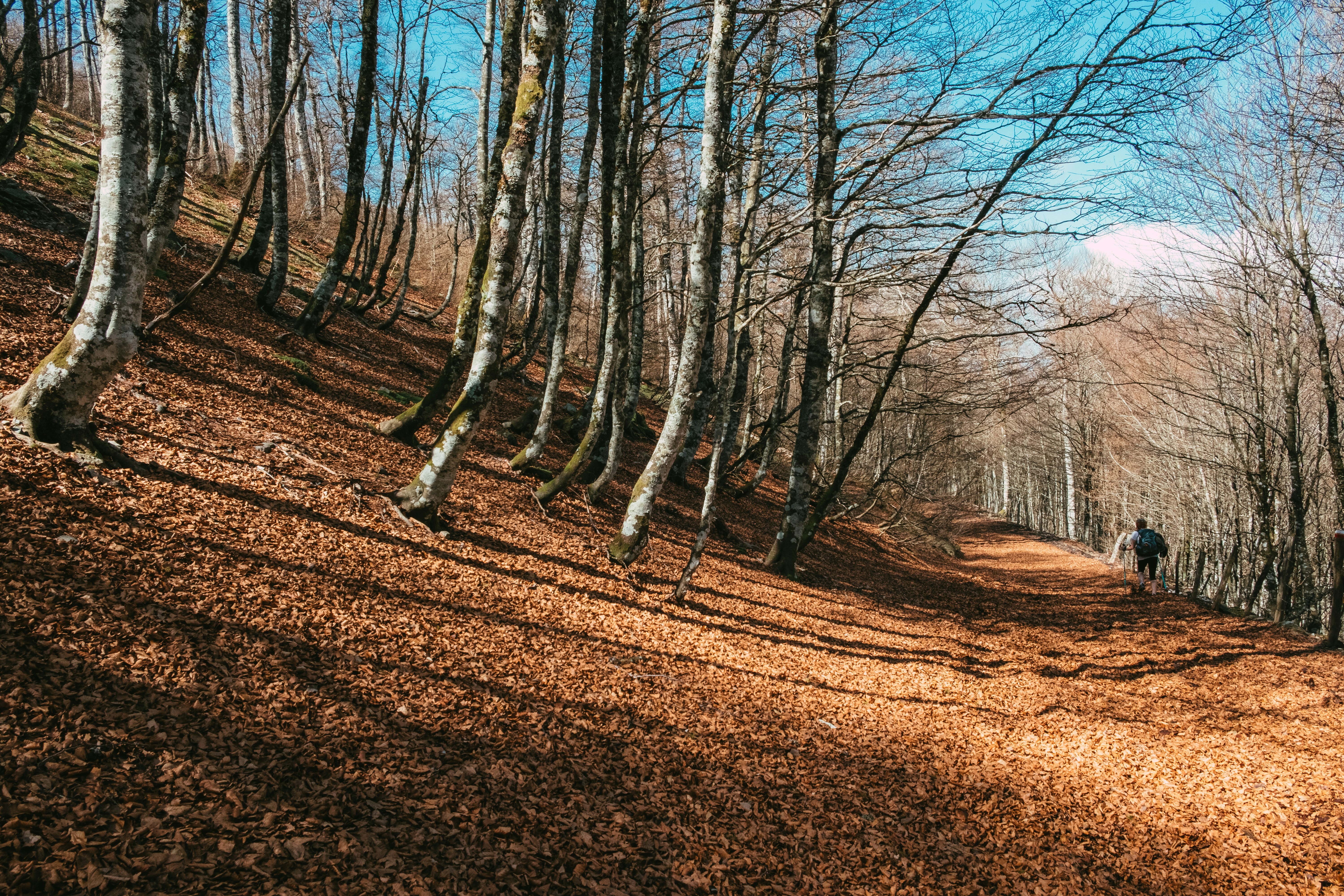 Photo by caleb_maxwell