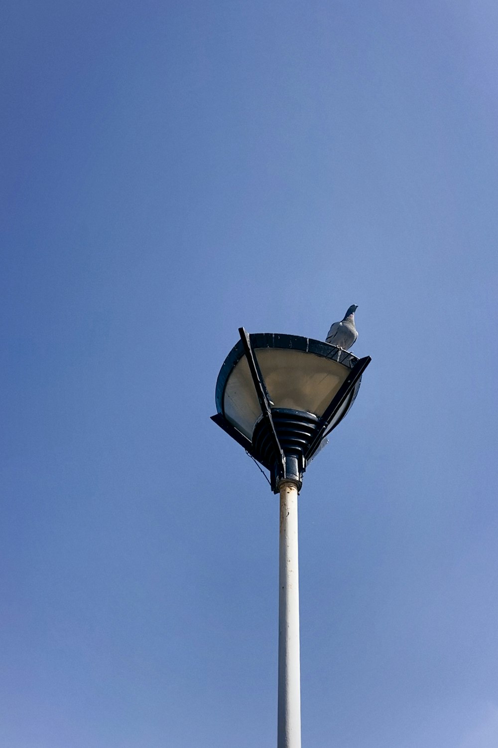 black and white street lamp