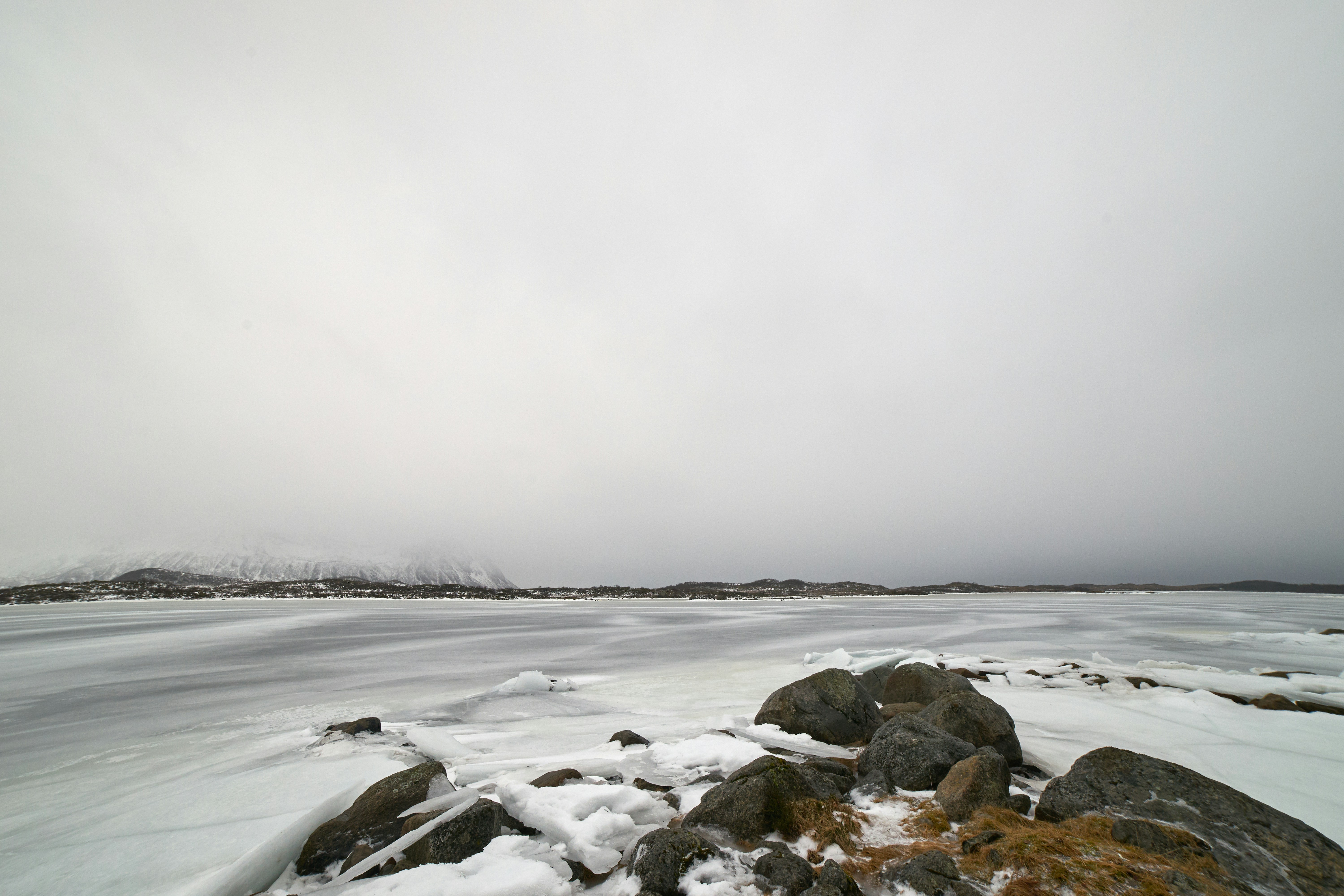 Photo by wolfgang_hasselmann