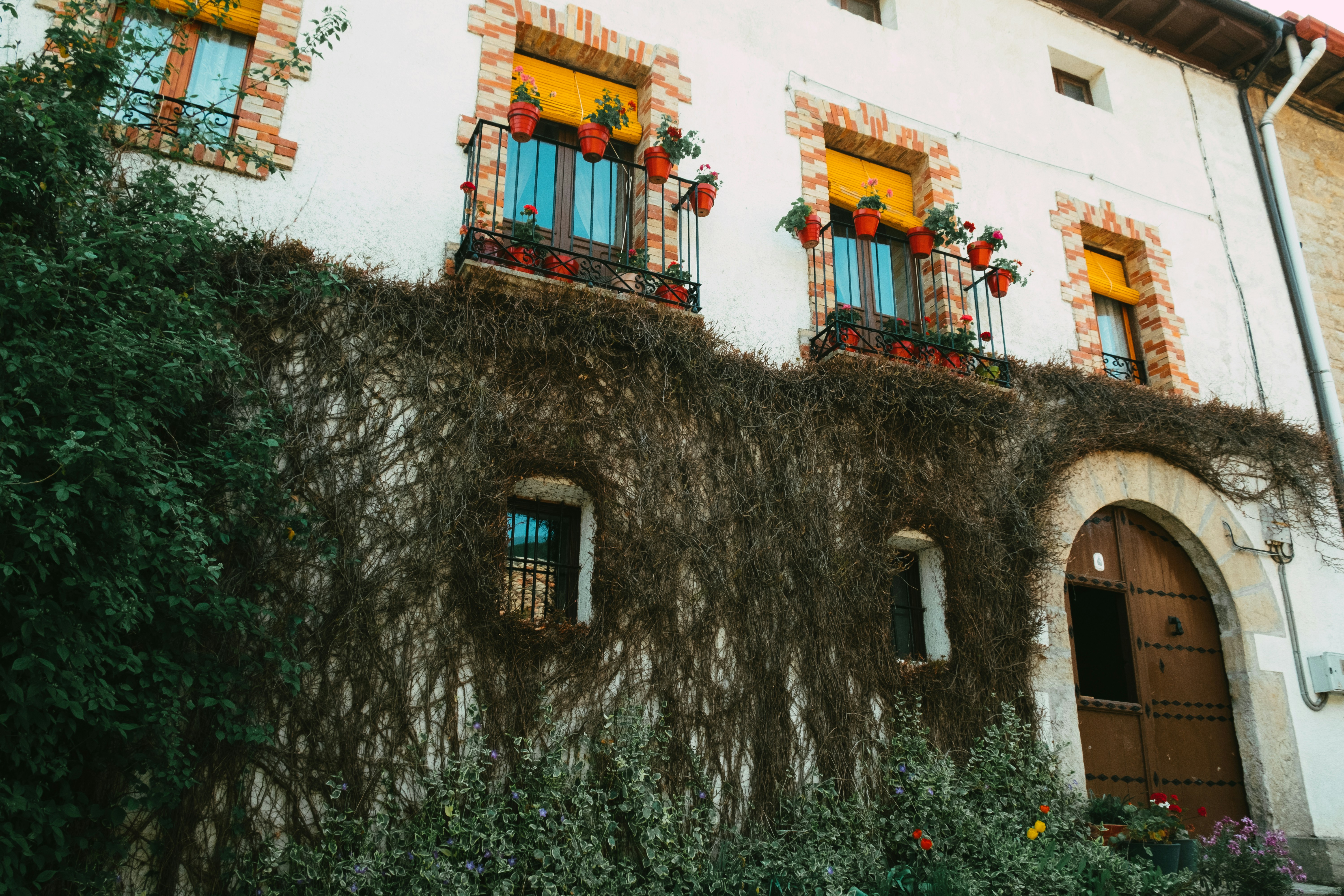 Photo by caleb_maxwell