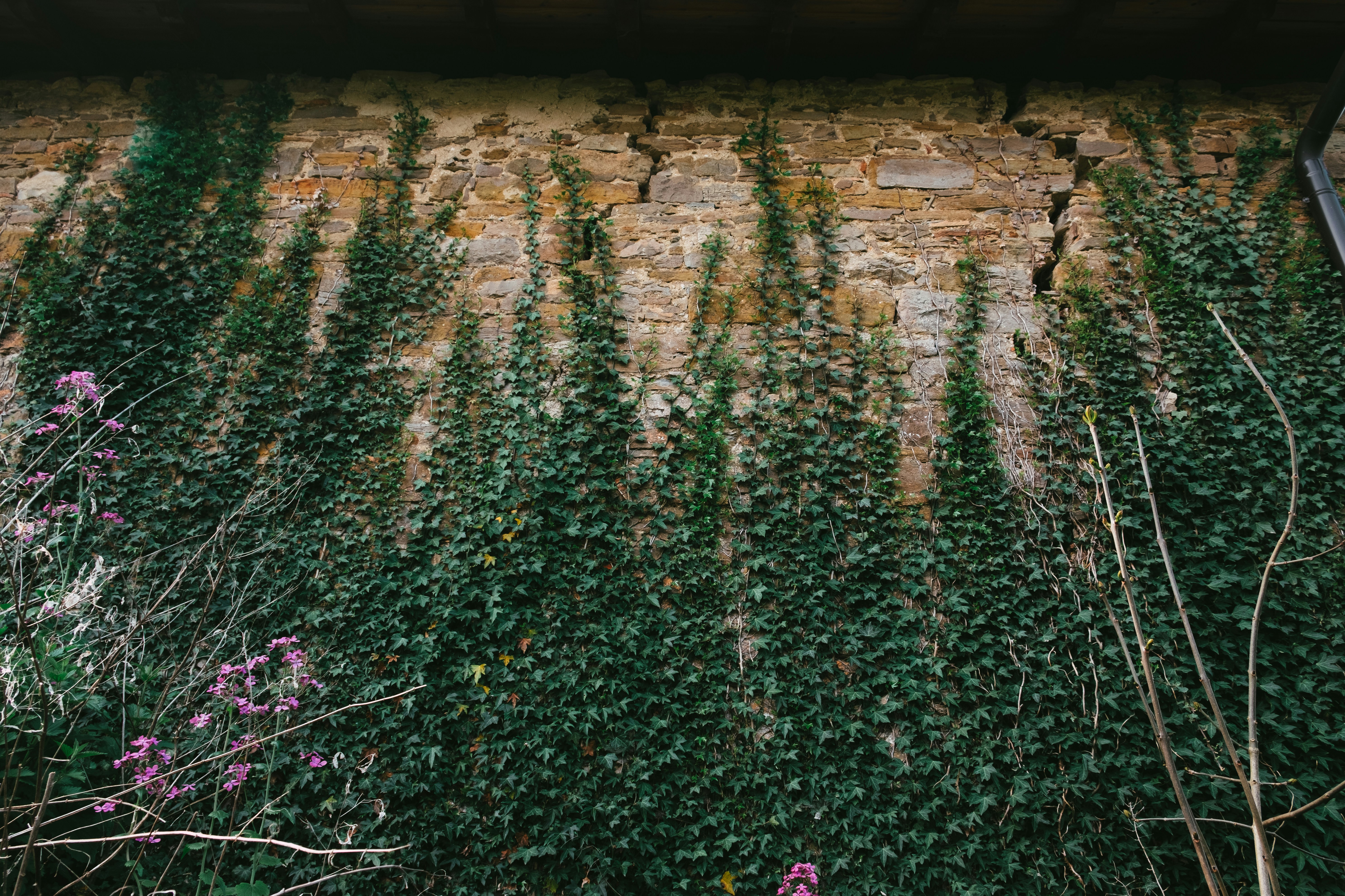 Photo by caleb_maxwell