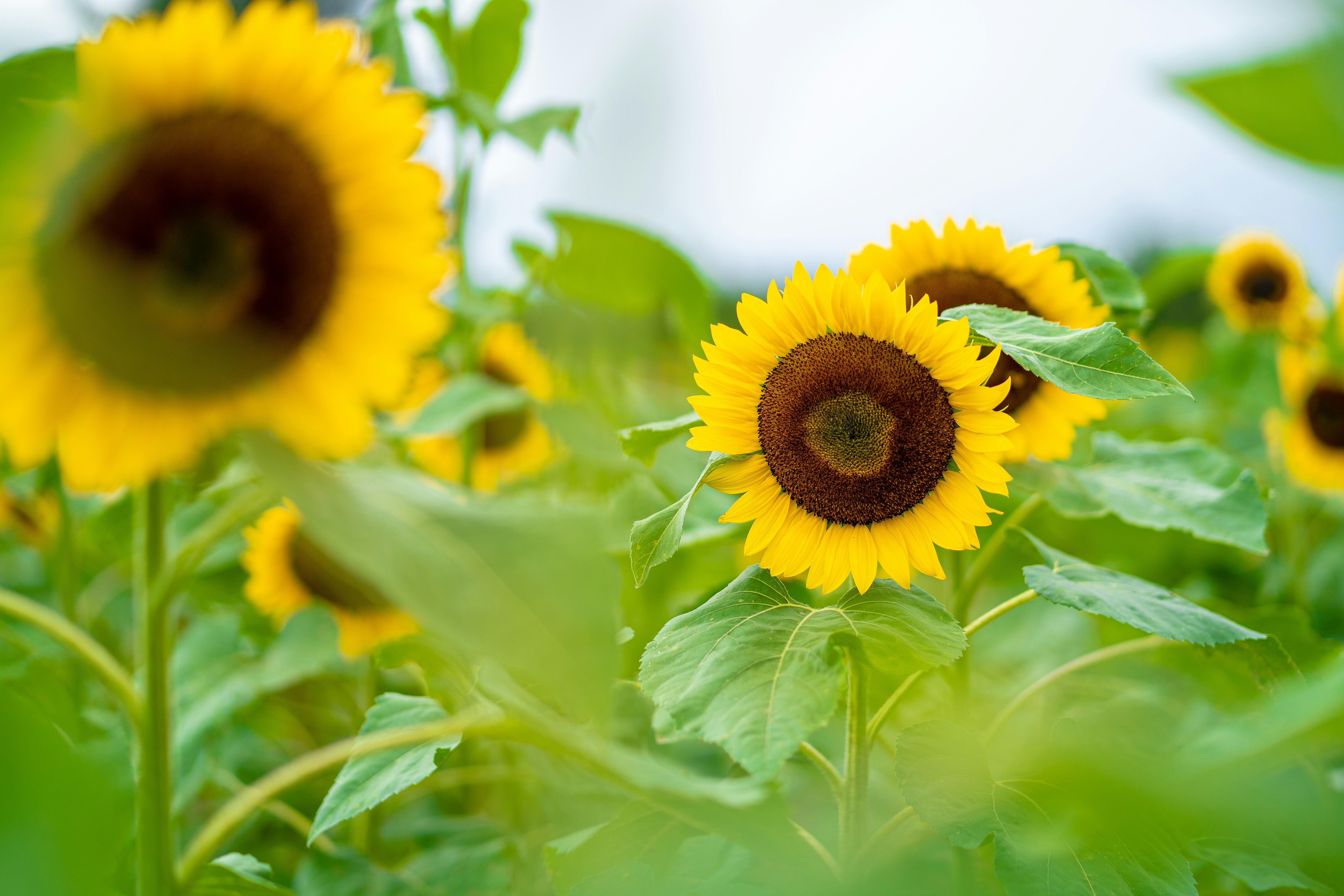 Photo by winstonchen