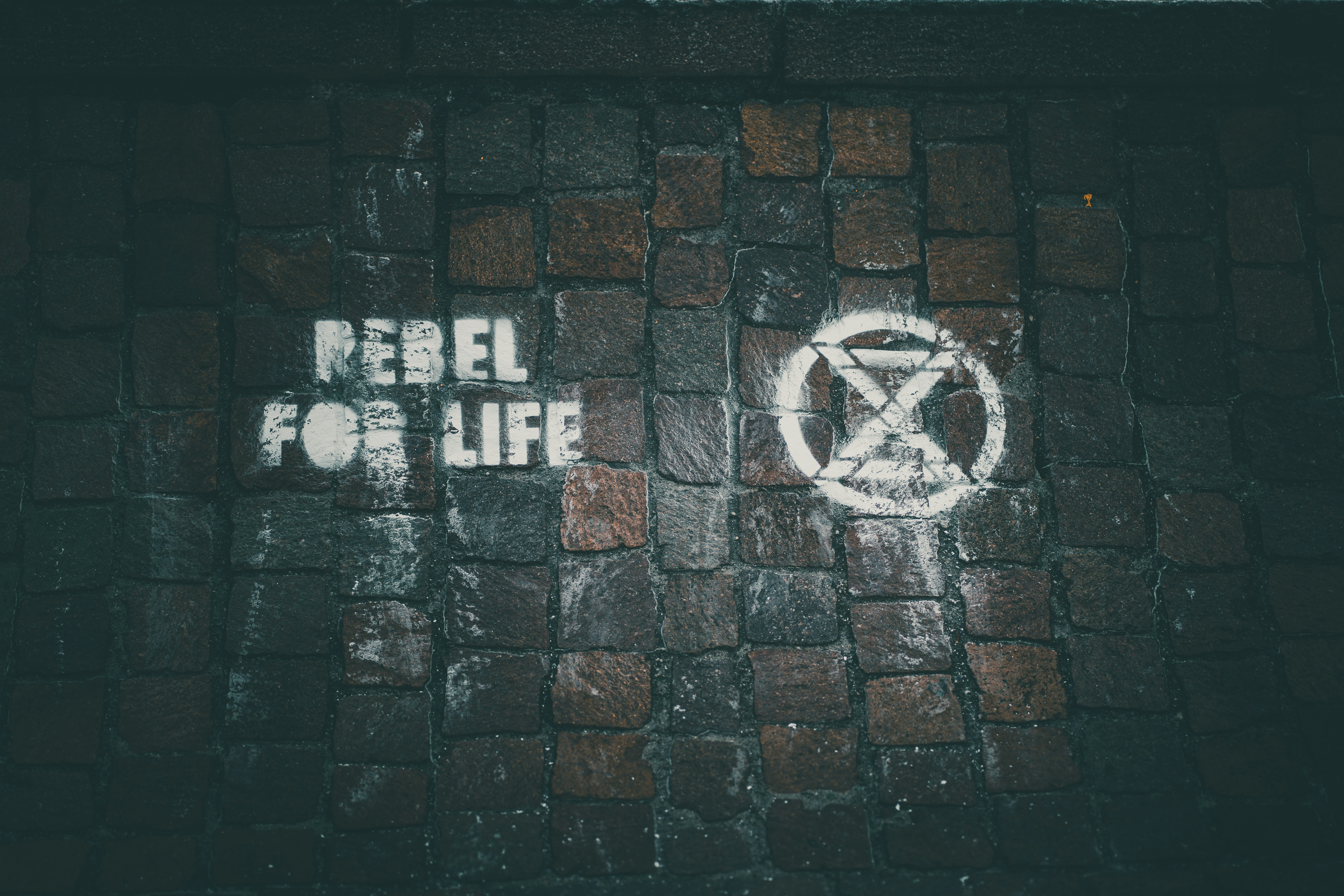 photo-1589958339476-2ade9141c80a?ixid=M3wxMjA3fDB8MXxzZWFyY2h8M3x8dWZhYmV0JTIwJUUwJUI5JTgwJUUwJUI4JUE3JUUwJUI5JTg3JUUwJUI4JTlBJUUwJUI4JUFCJUUwJUI4JUE1JUUwJUI4JUIxJUUwJUI4JTgxfGVufDB8fHx8MTc1NDMxNTg0Mnww\u0026ixlib=rb-4.1.0