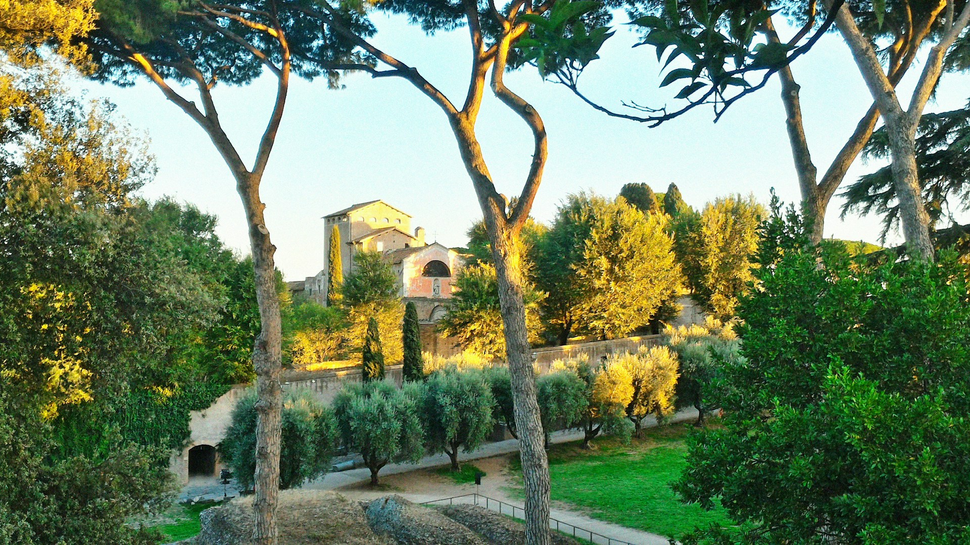 gray computer monitor