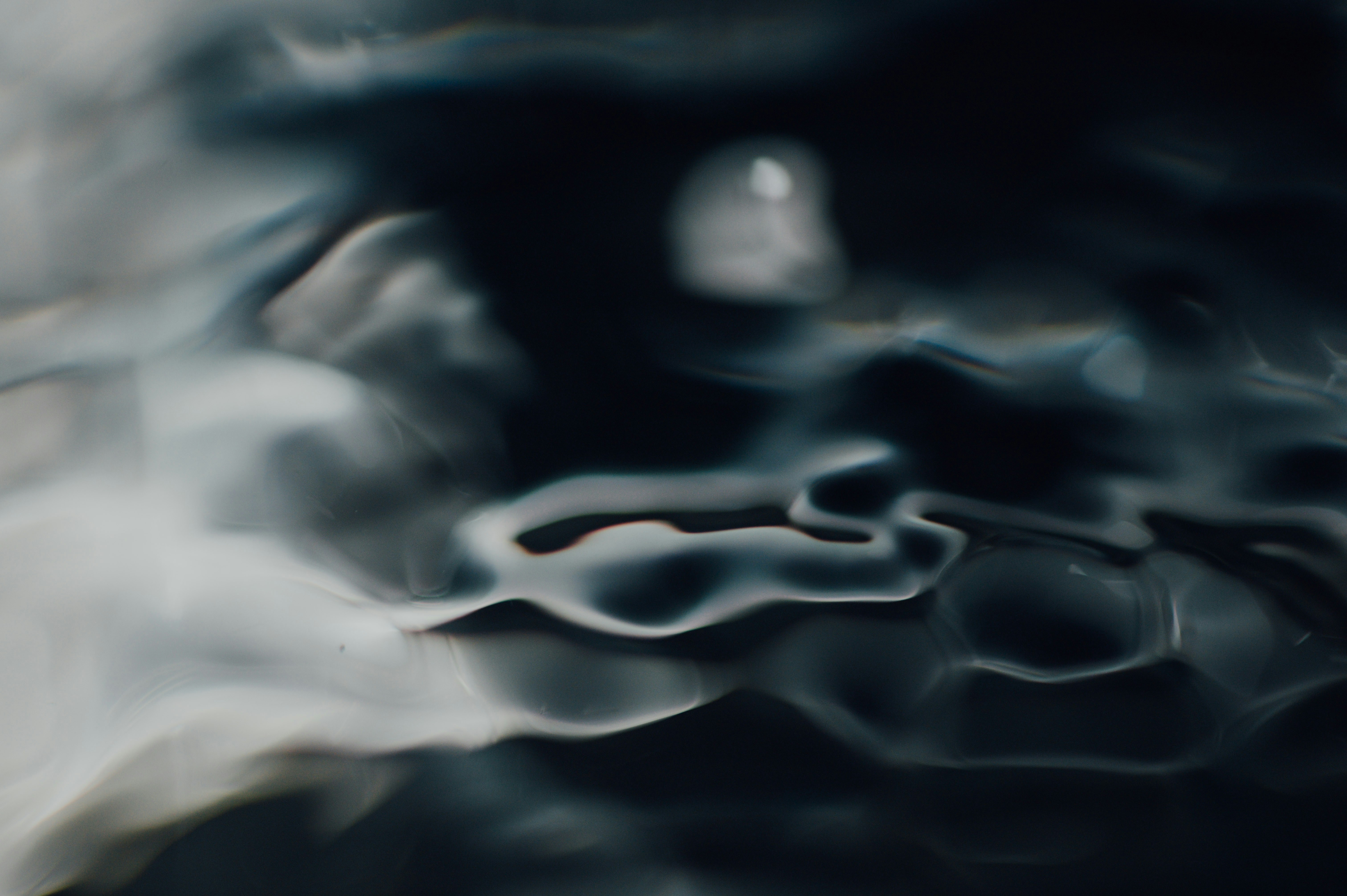 Photo by chuttersnap