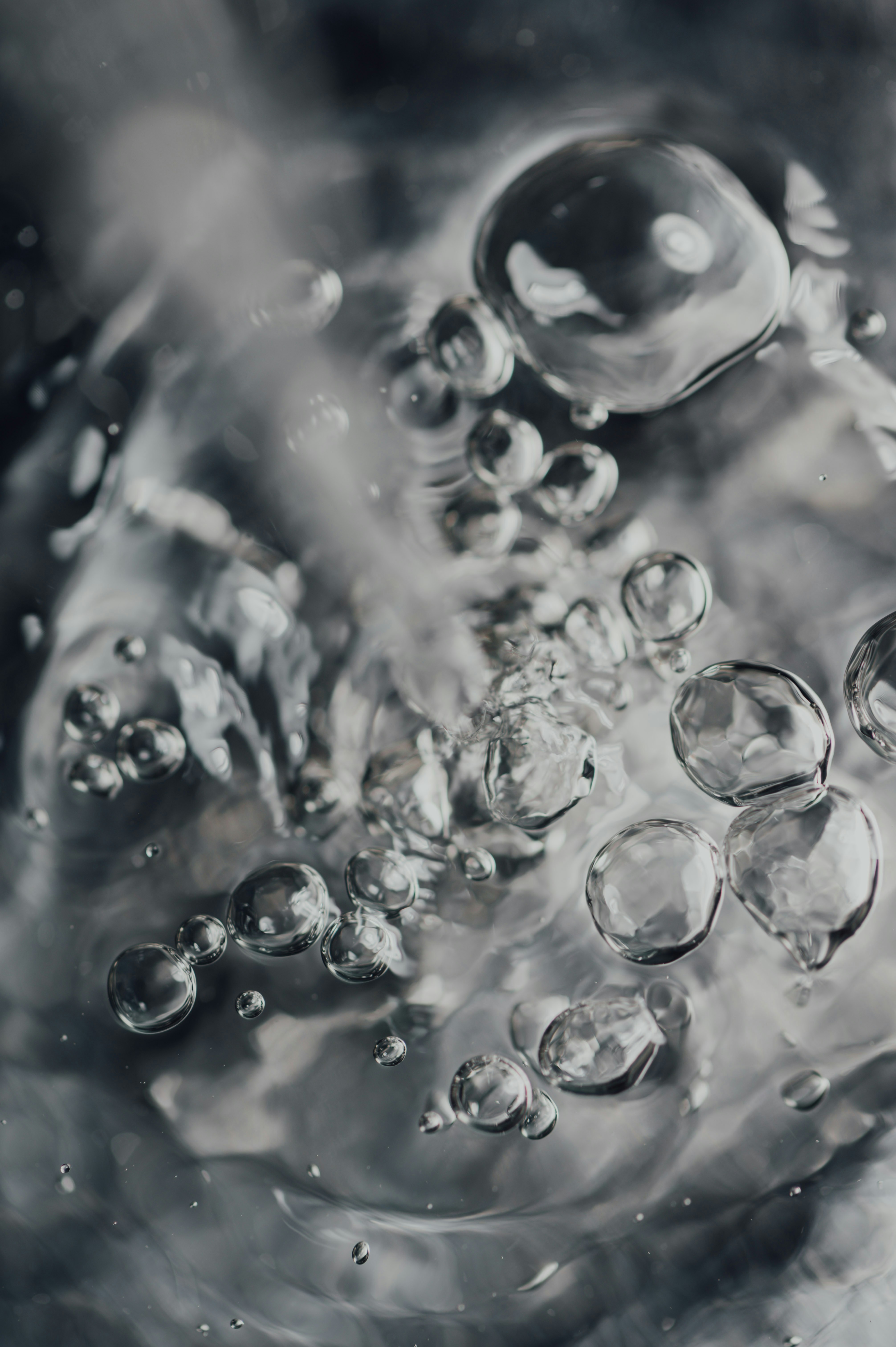 Photo by chuttersnap