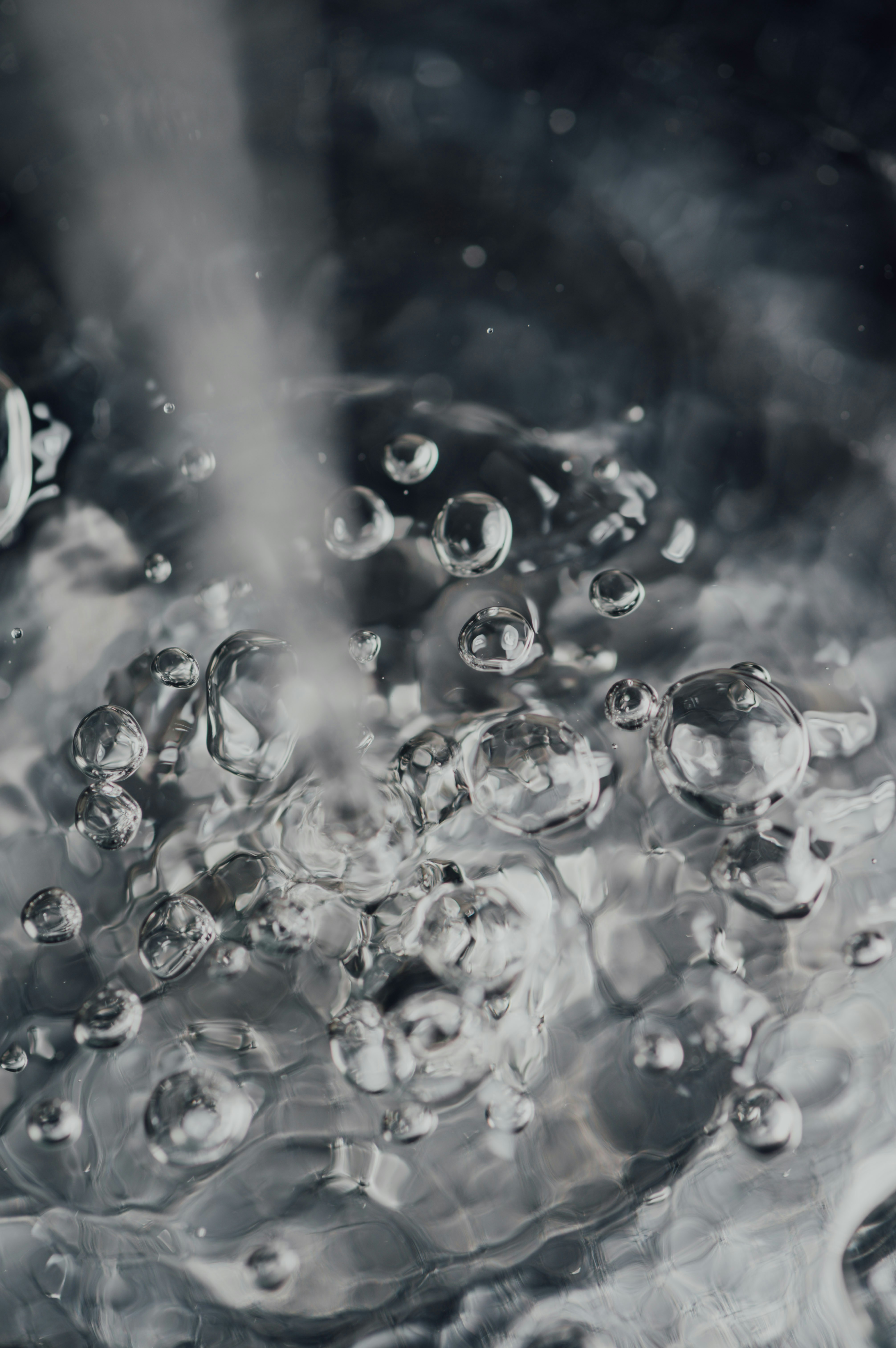 Photo by chuttersnap