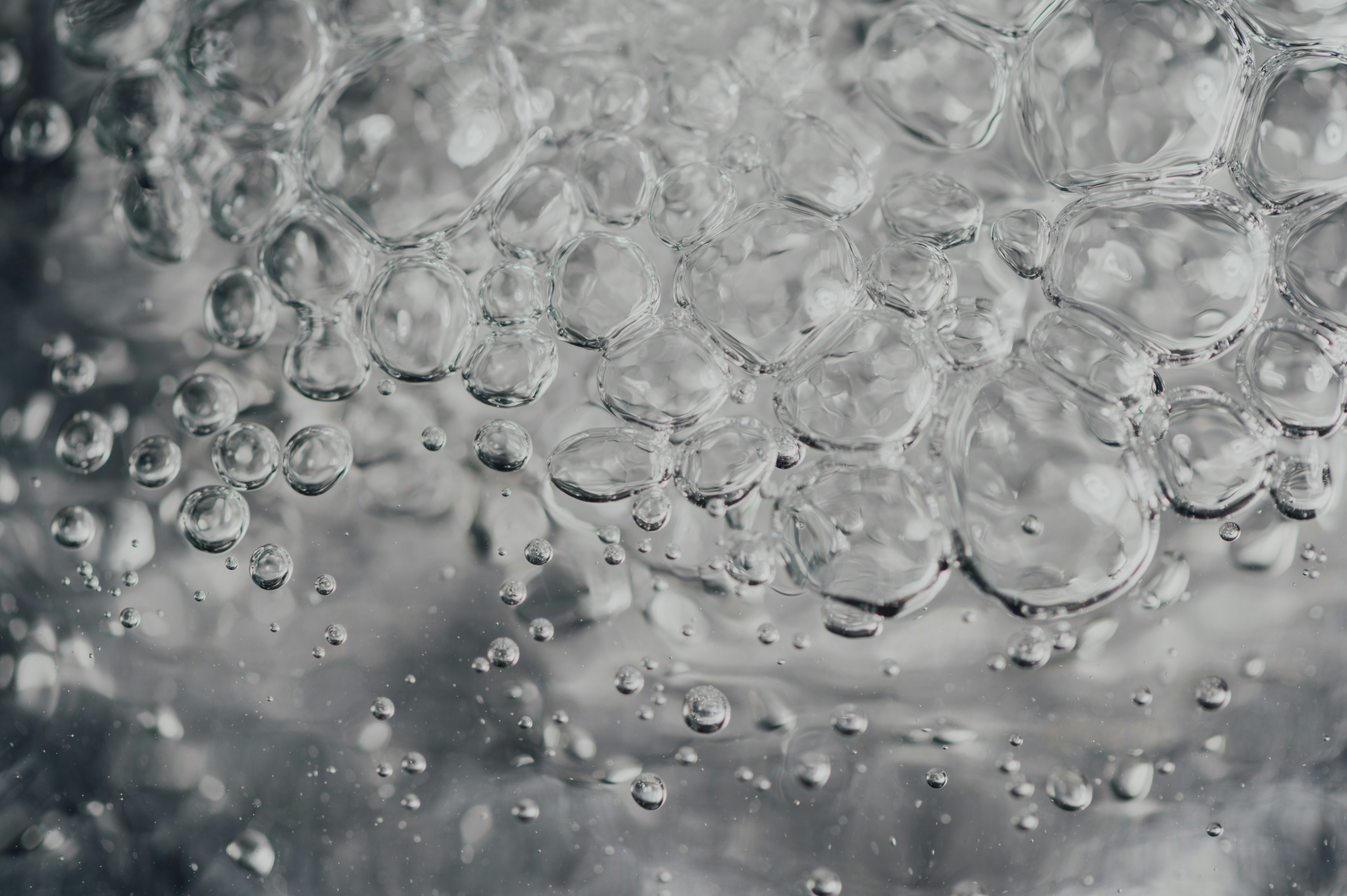 Photo by chuttersnap