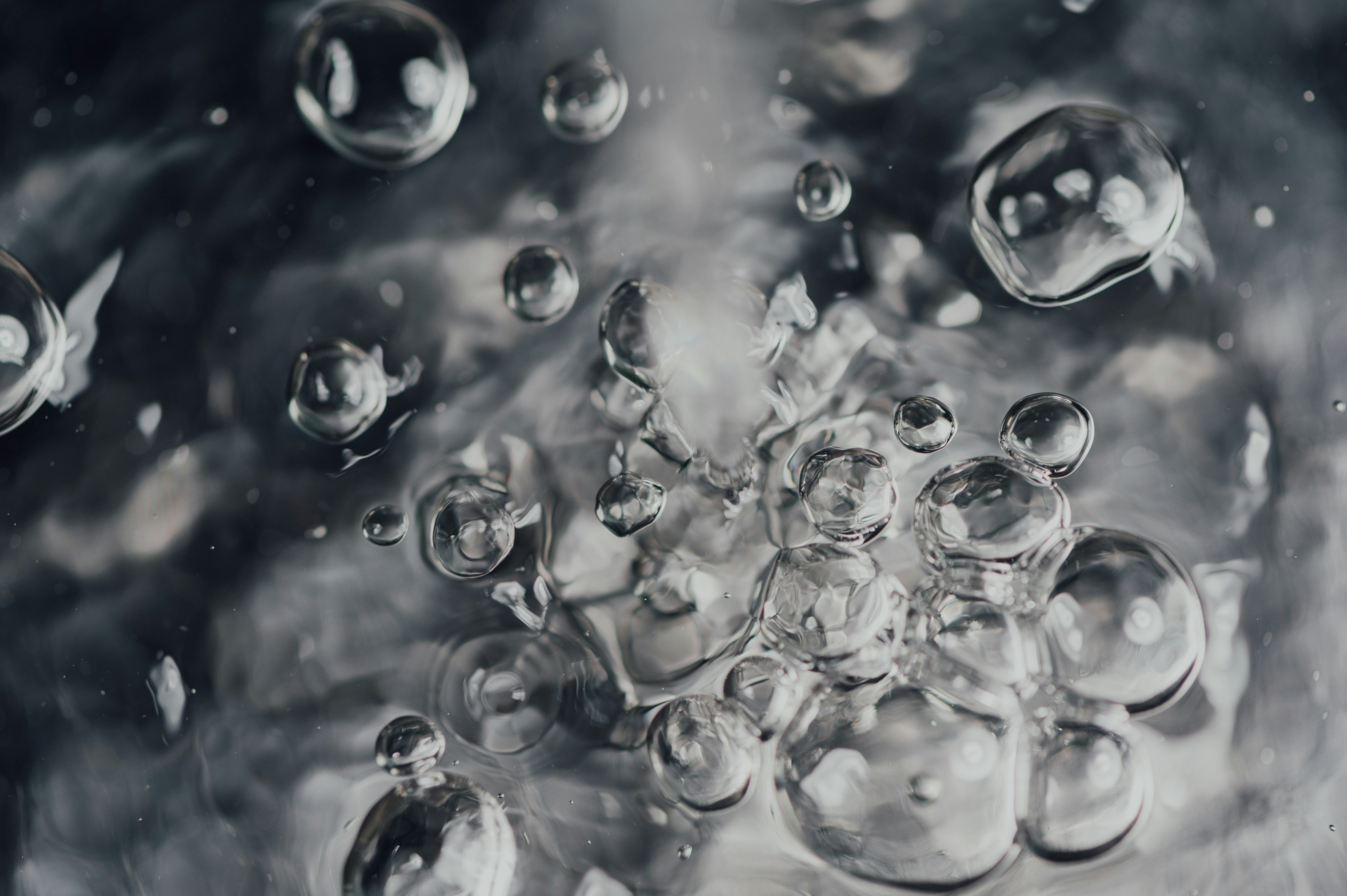 Photo by chuttersnap