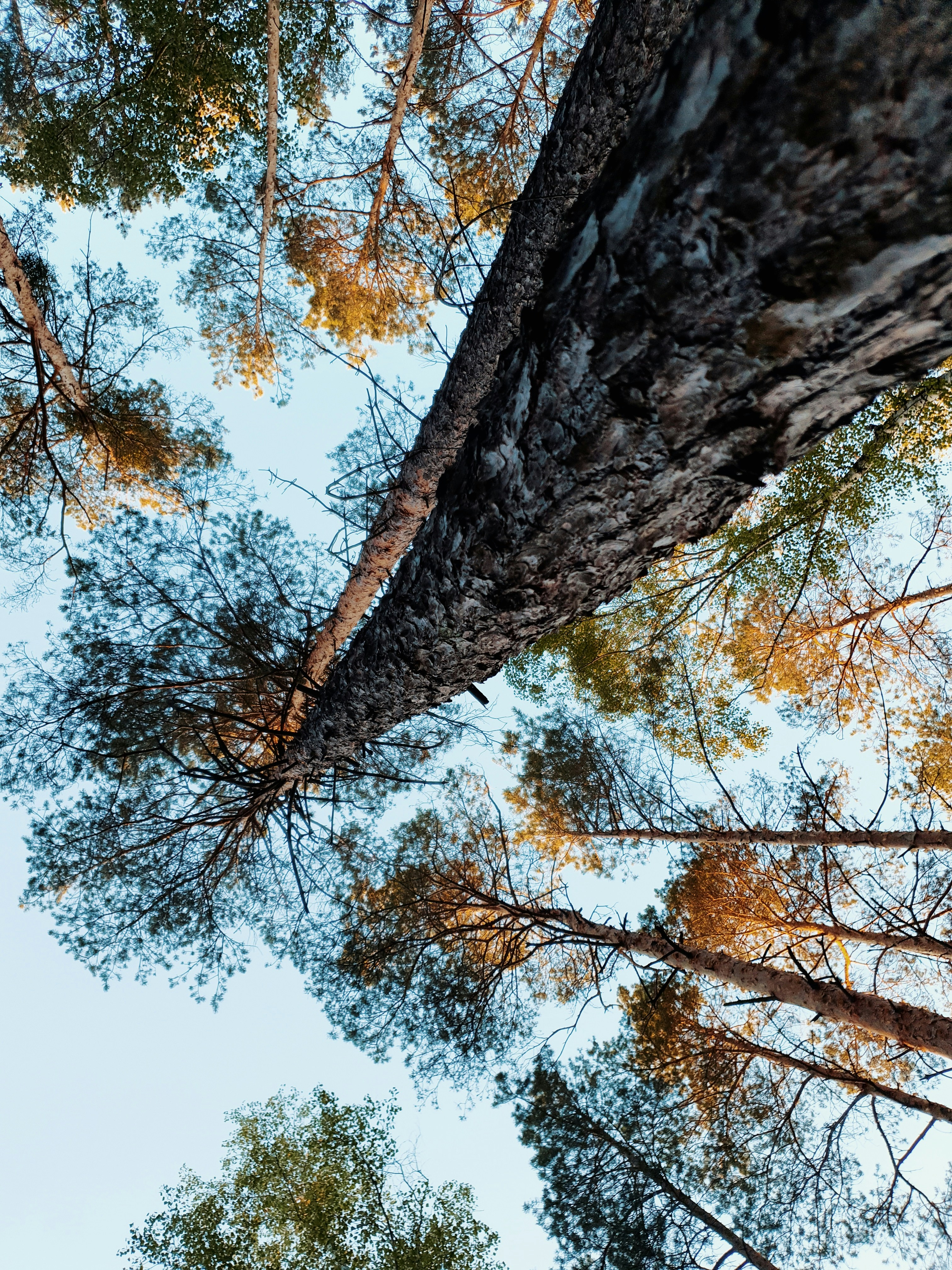 Photo by mateuszsasak