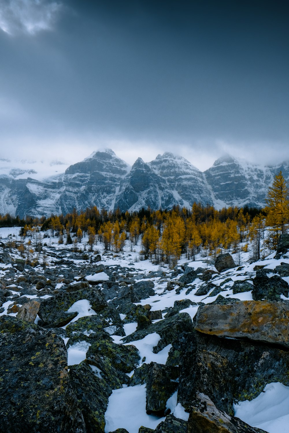 green trees on rocky mountain during daytime