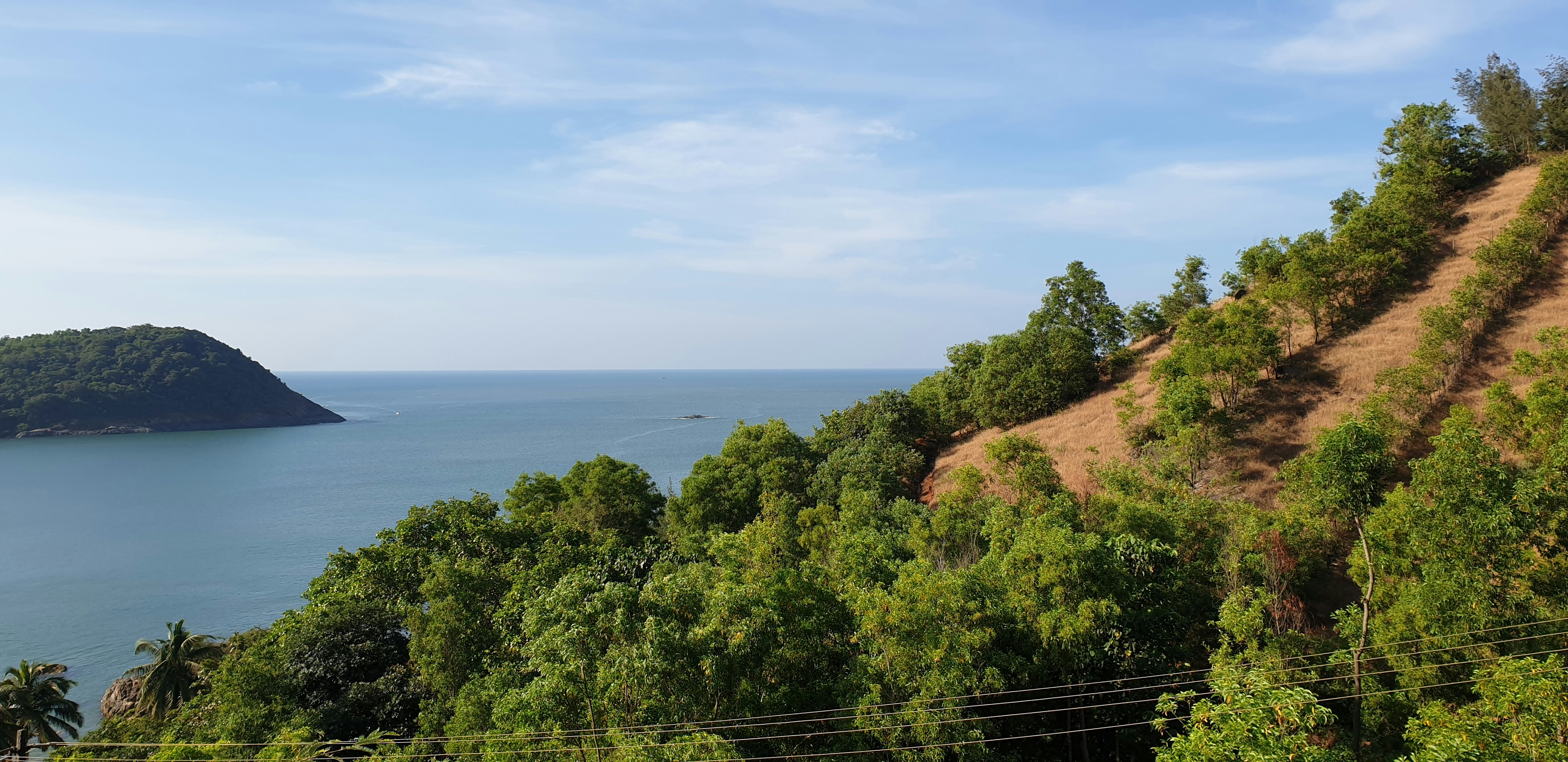 Green trees on brown mountain near body of water during daytime photo ...