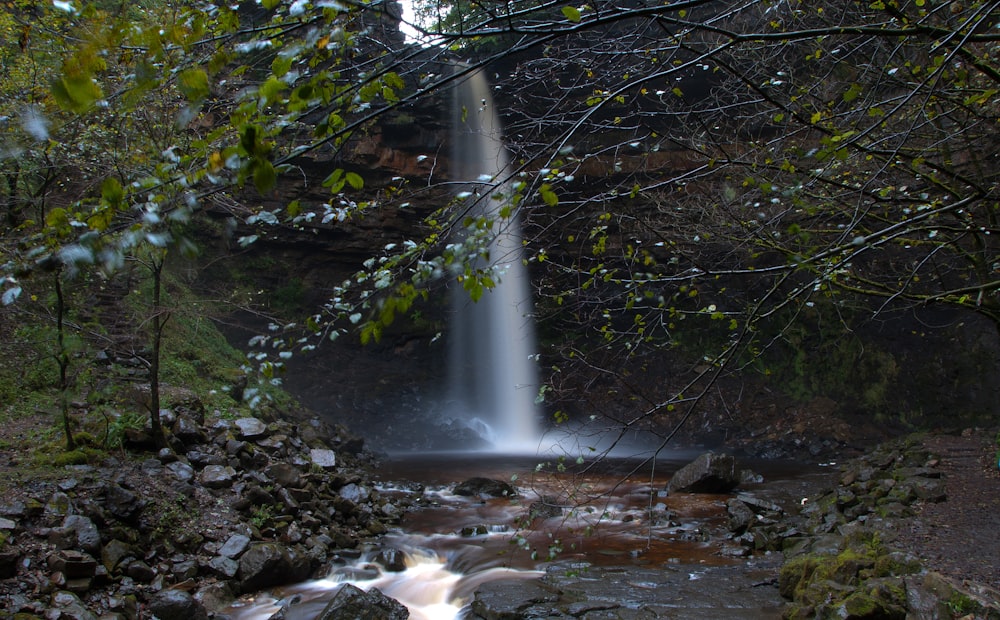 water falls in the forest