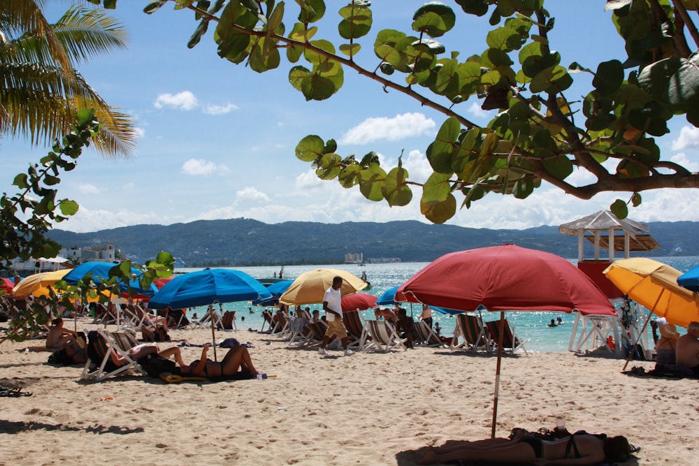 people on beach during daytime