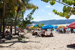 A sunny beach with several madtre umbrellas planted in the sand, people relaxing underneath.