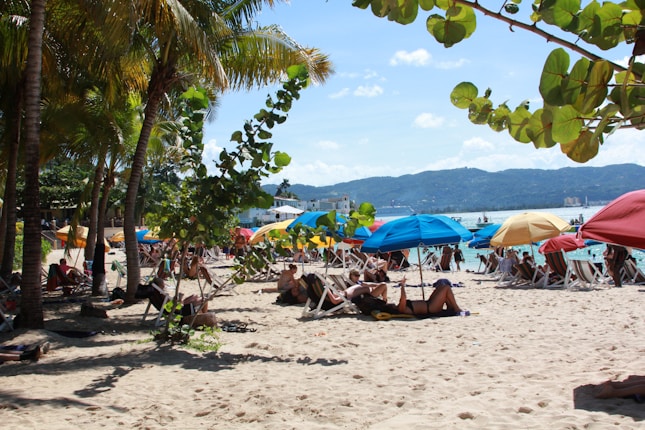 A sunny beach scene with people relaxing under colorful umbrellas. Palm trees provide additional shade along the sandy coastline. The ocean is visible in the background, with mountains on the horizon.