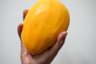 A hand is holding a ripe, yellow mango with a slight sheen. The mango is large and the hand is positioned under it, with fingers slightly curled around its surface.
