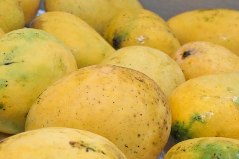 A collection of ripe, yellow mangoes with patches of green and brown skin. The mangoes have smooth and slightly speckled surfaces, suggesting they are ready to eat.