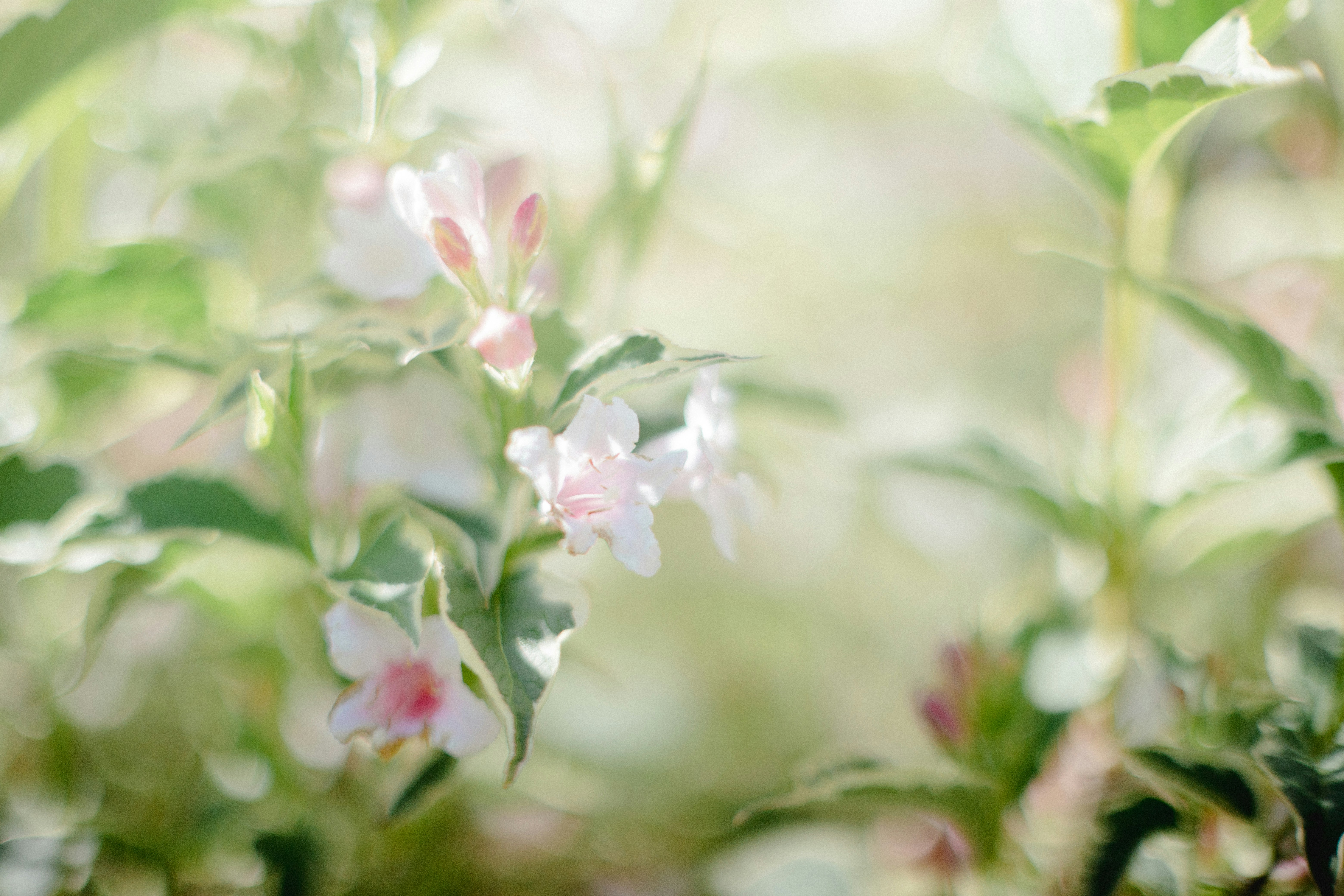 Photo by oakandmaystockshop