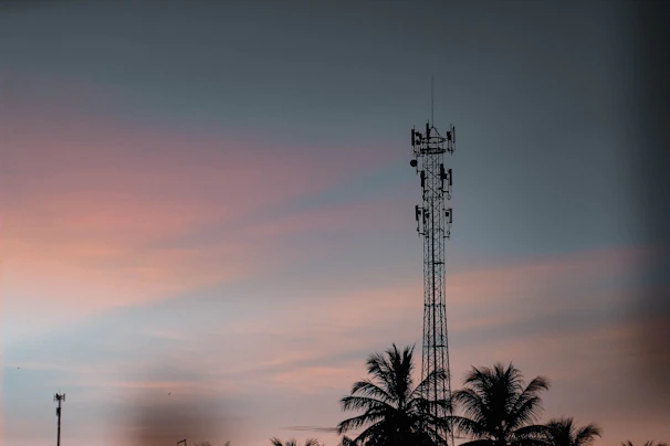 silhouette of palm tree during sunset