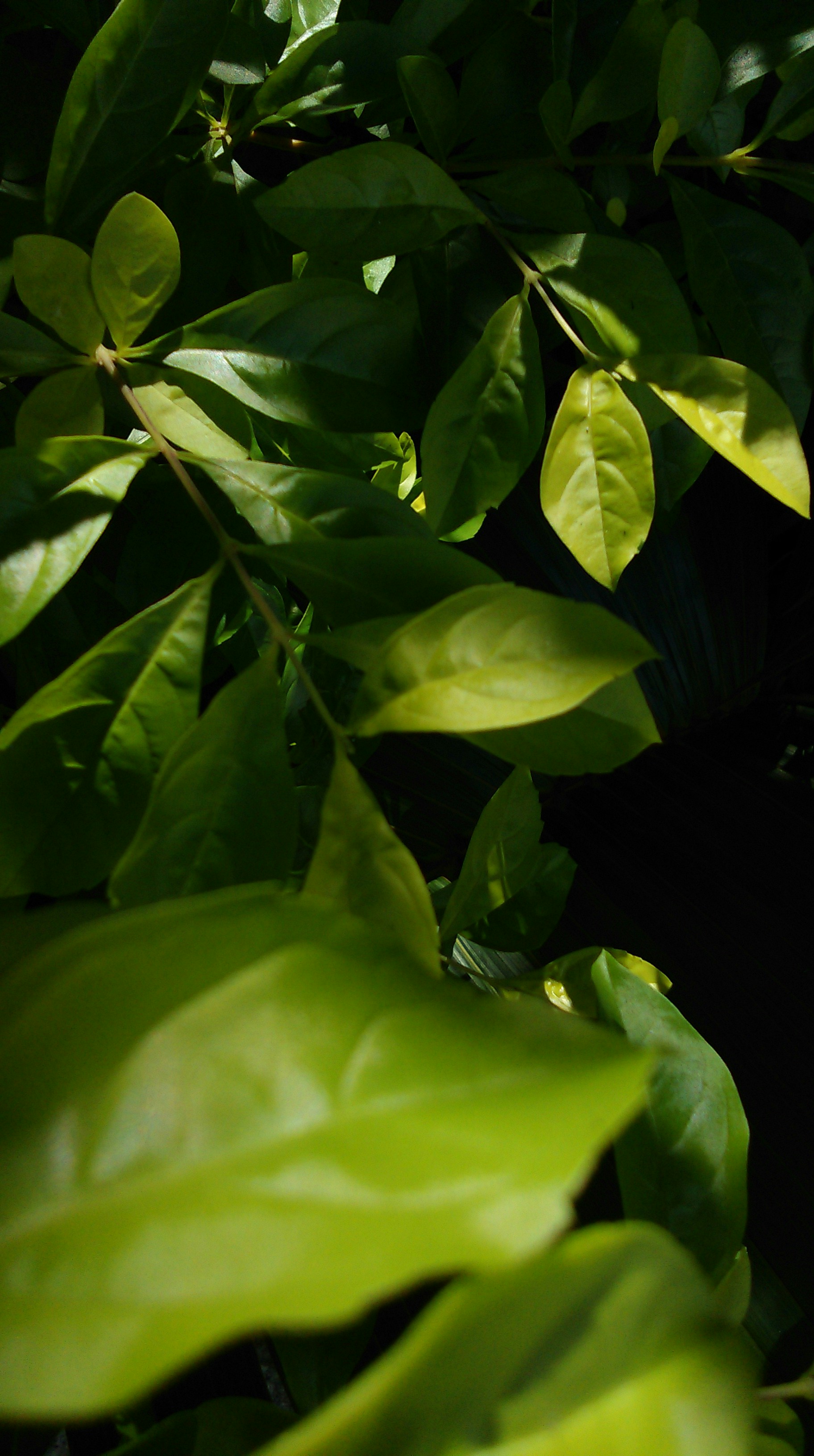 Photo by aditya_doula_